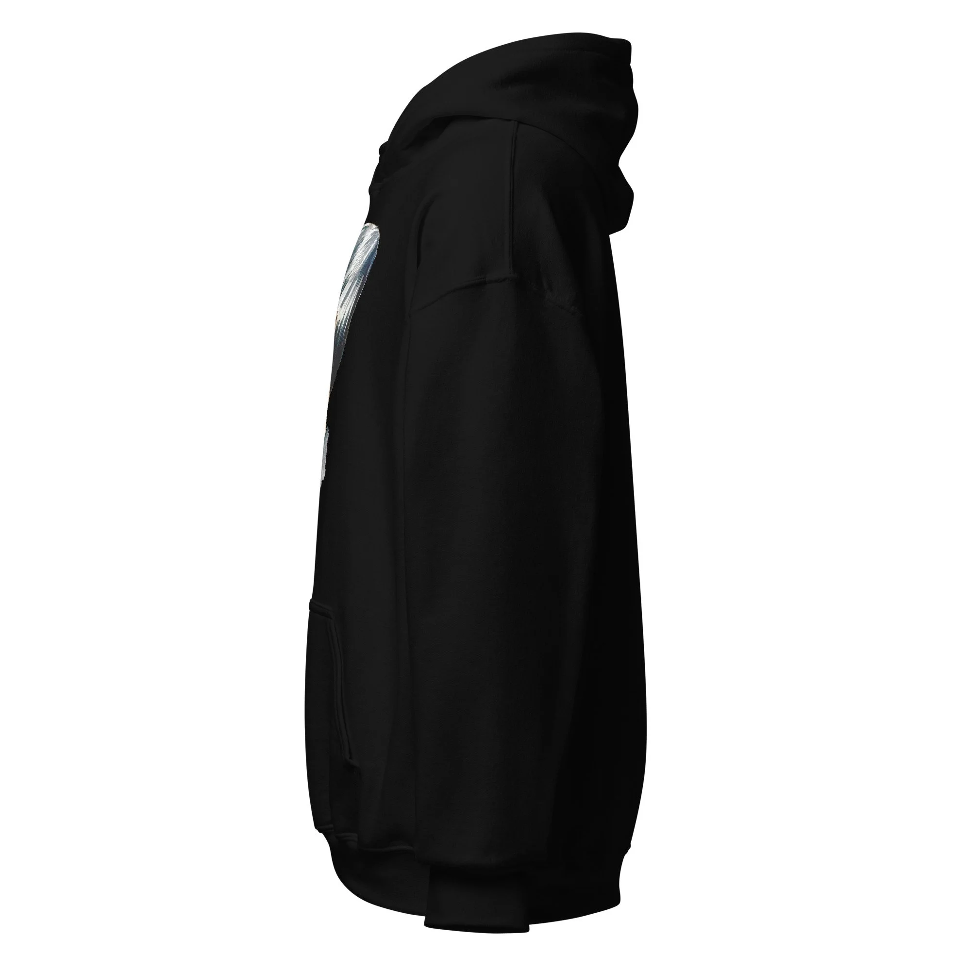 unisex-heavy-blend-hoodie-black-left-6abdd88c96a7d.jpg