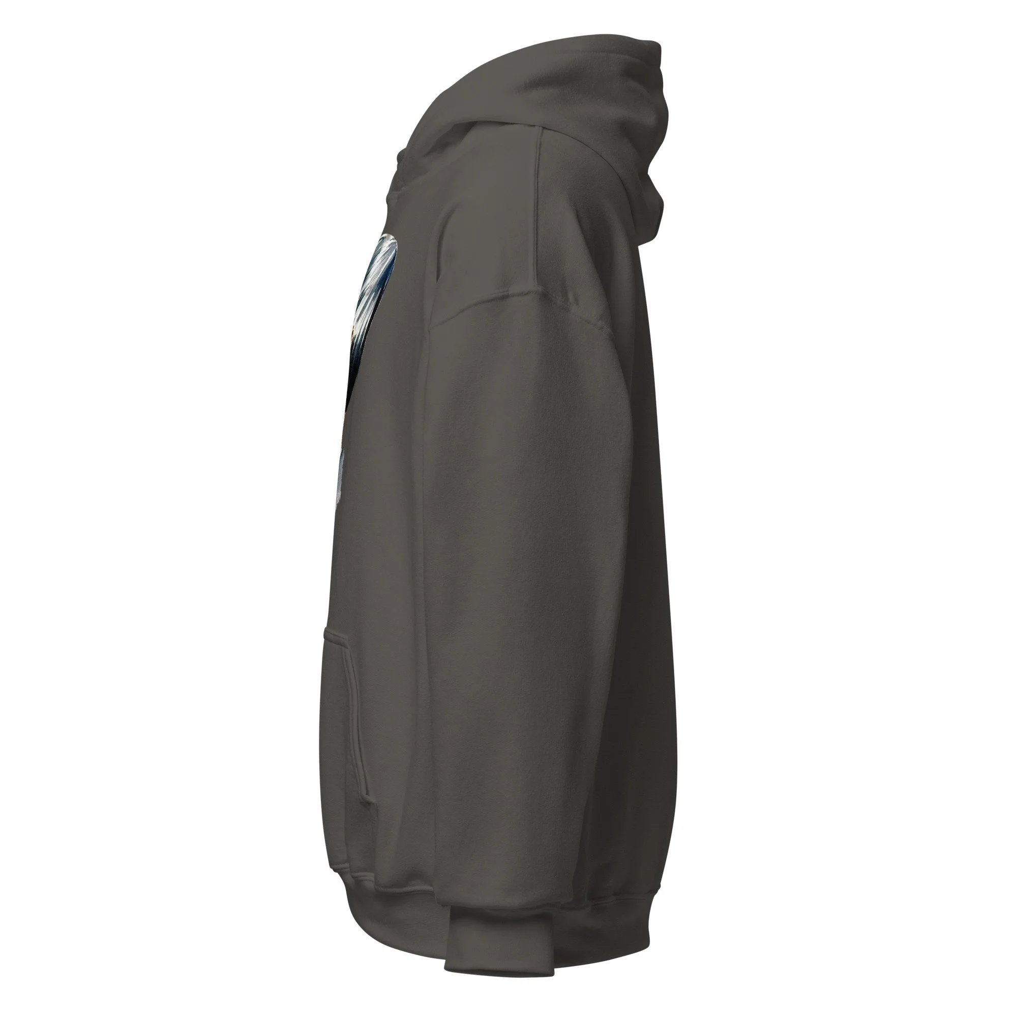 unisex-heavy-blend-hoodie-charcoal-left-6abdd88c96ad7.jpg
