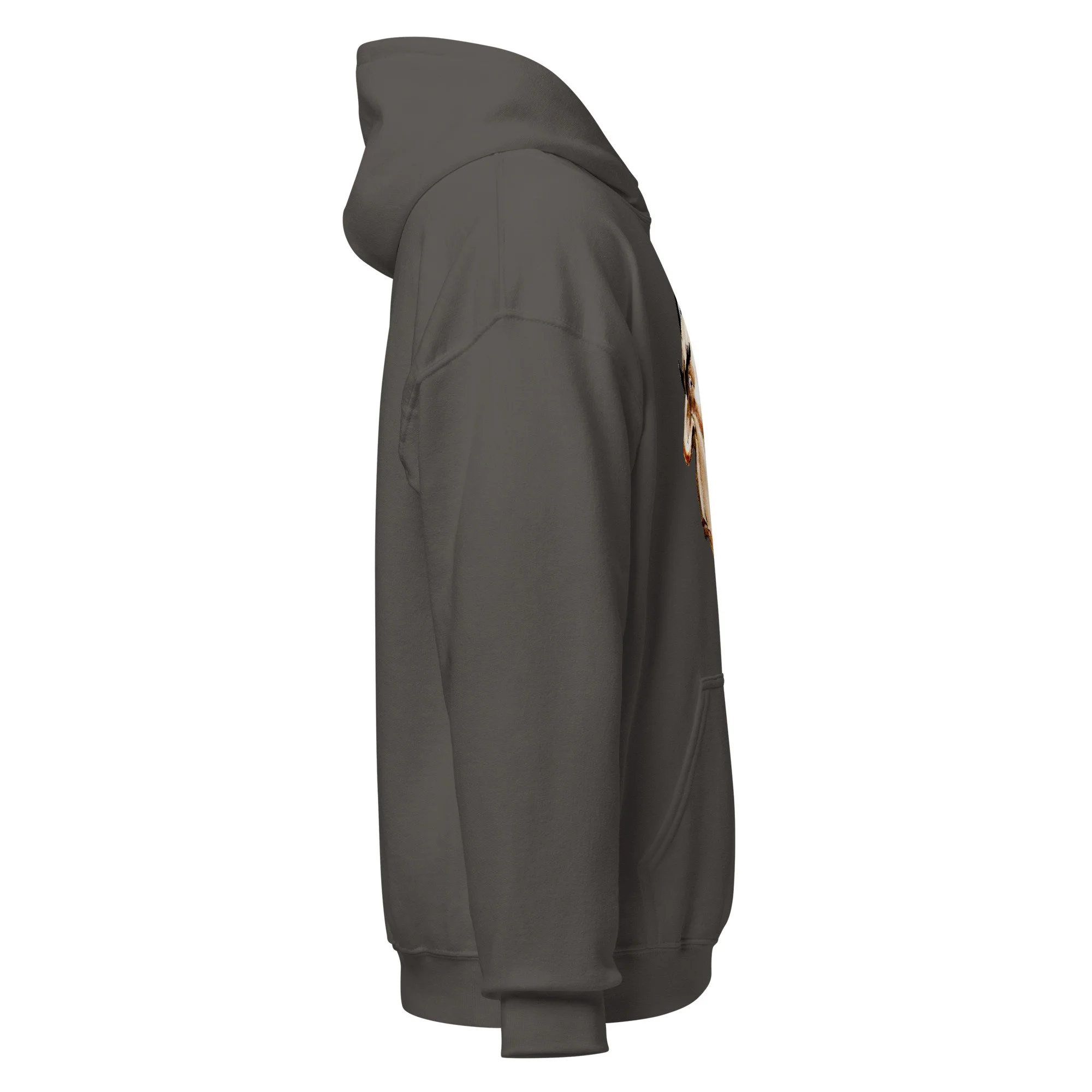 unisex-heavy-blend-hoodie-charcoal-right-6abdd88c96fb0.jpg