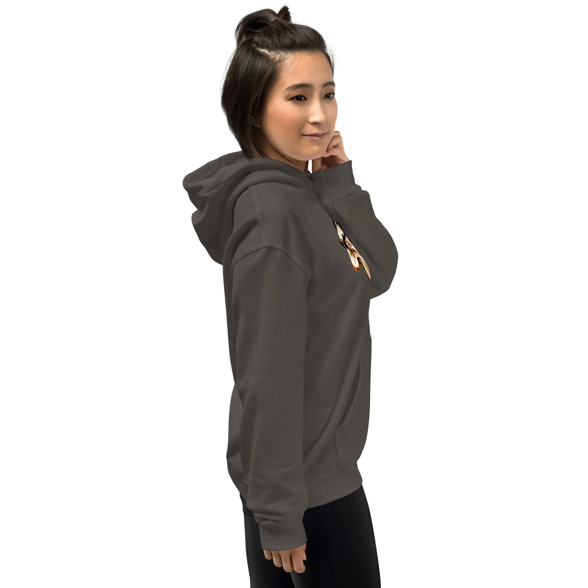 unisex-heavy-blend-hoodie-charcoal-right-6abdd88c95710.jpg