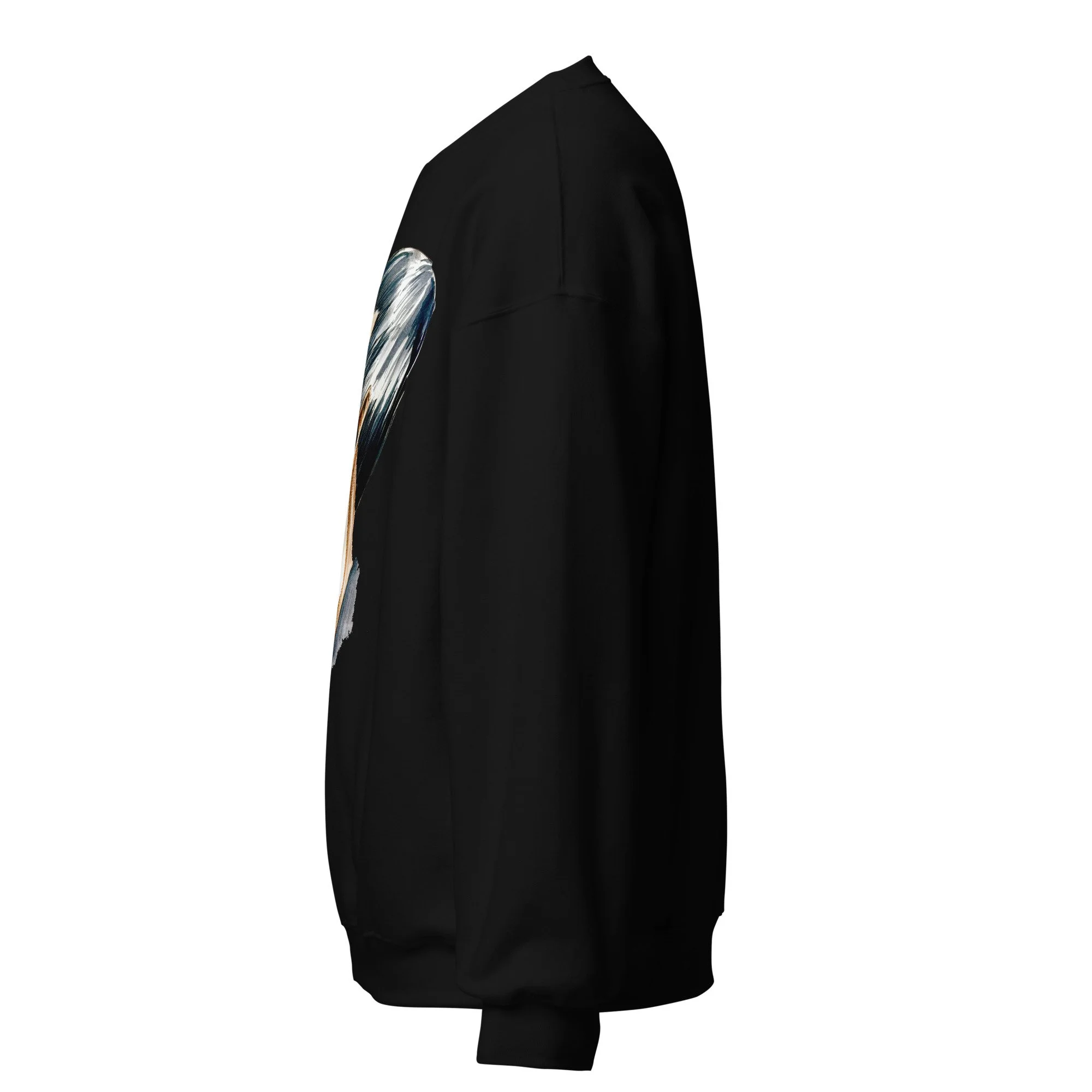 unisex-crew-neck-sweatshirt-black-left-6abdd9d75d796.jpg