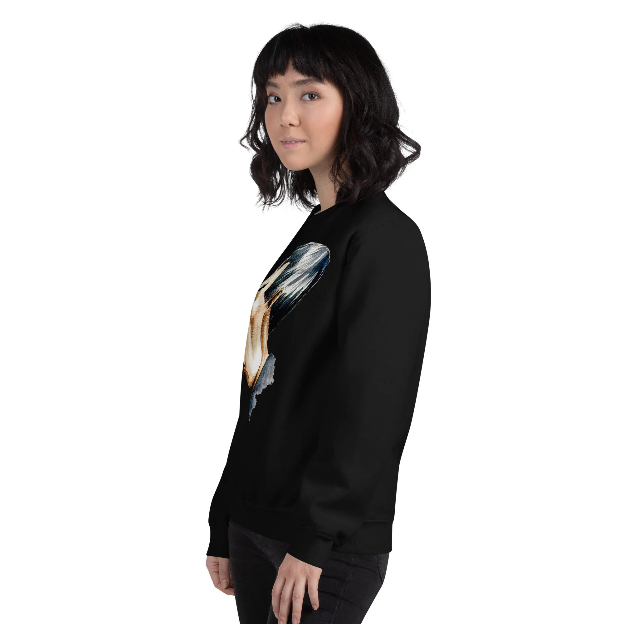 unisex-crew-neck-sweatshirt-black-left-front-6abdd9d7576a1.jpg