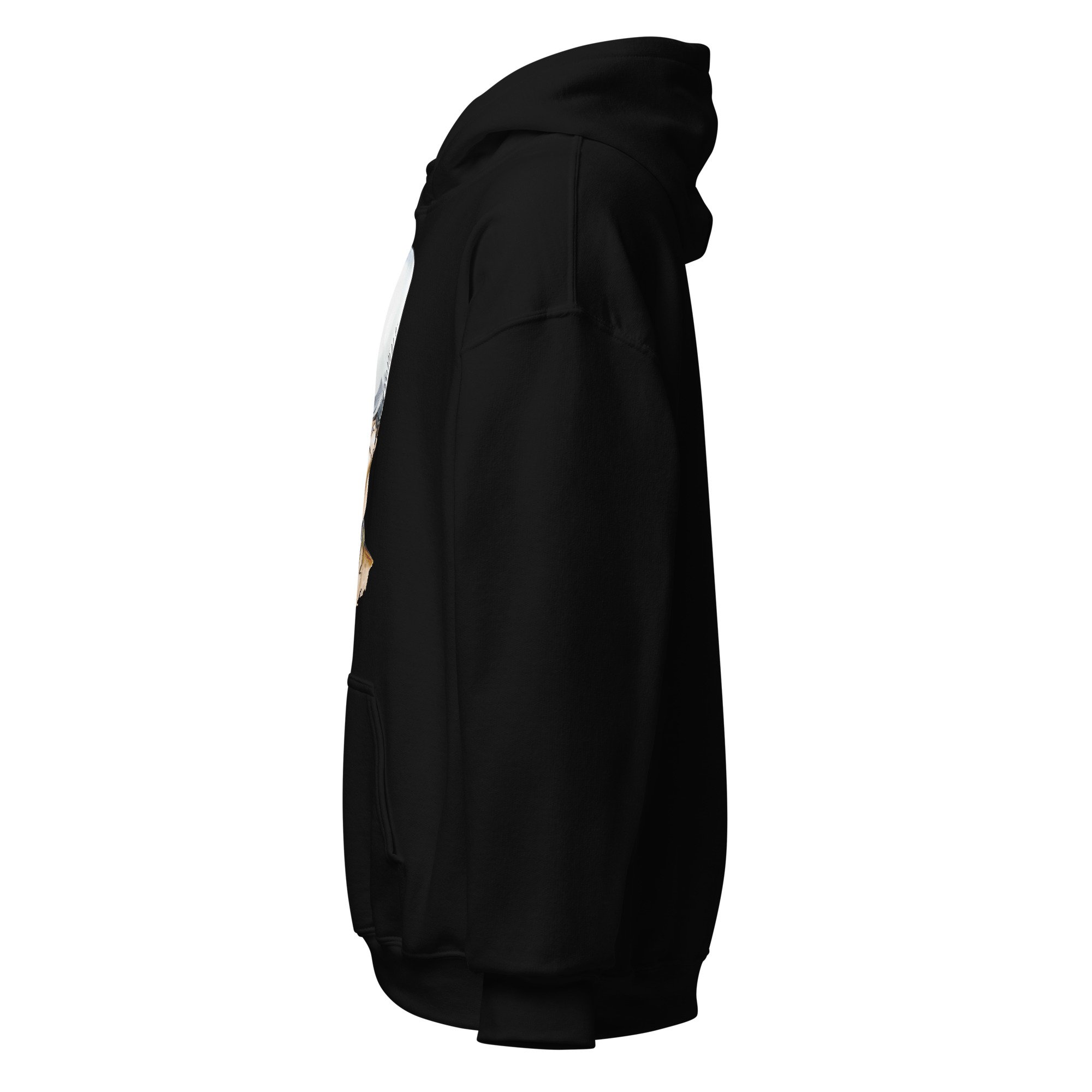 unisex-heavy-blend-hoodie-black-left-6abddaa62a76a.jpg