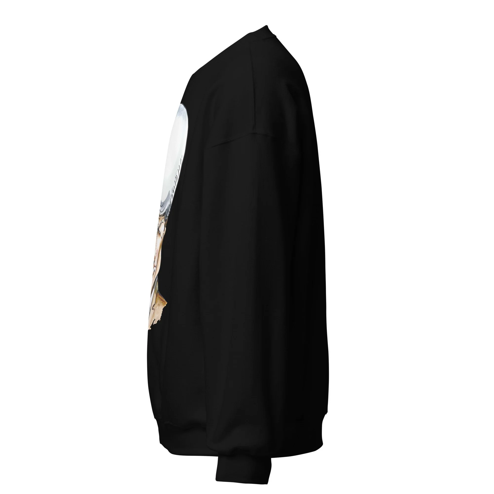 unisex-crew-neck-sweatshirt-black-left-6abddb7224bb0.jpg