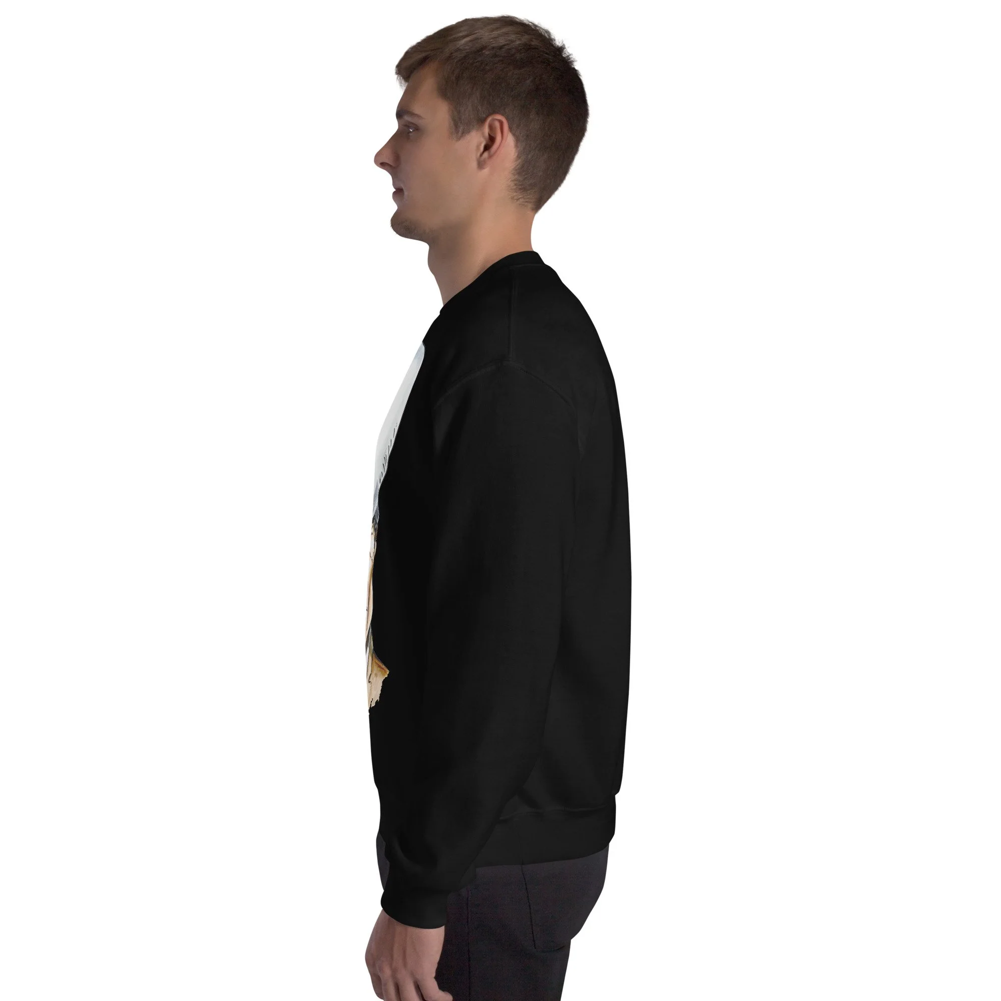 unisex-crew-neck-sweatshirt-black-left-6abddb721e305.jpg