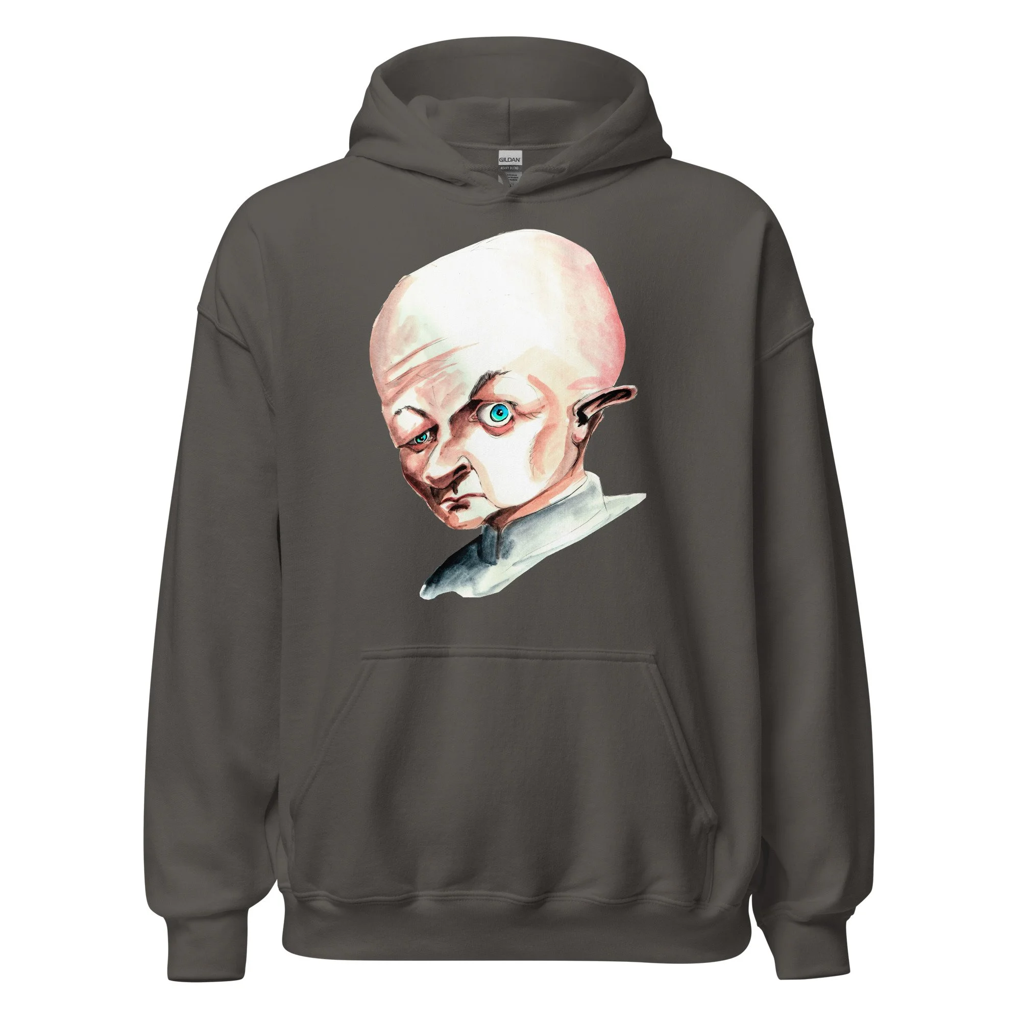 unisex-heavy-blend-hoodie-charcoal-front-6abdddf07c7d6.jpg