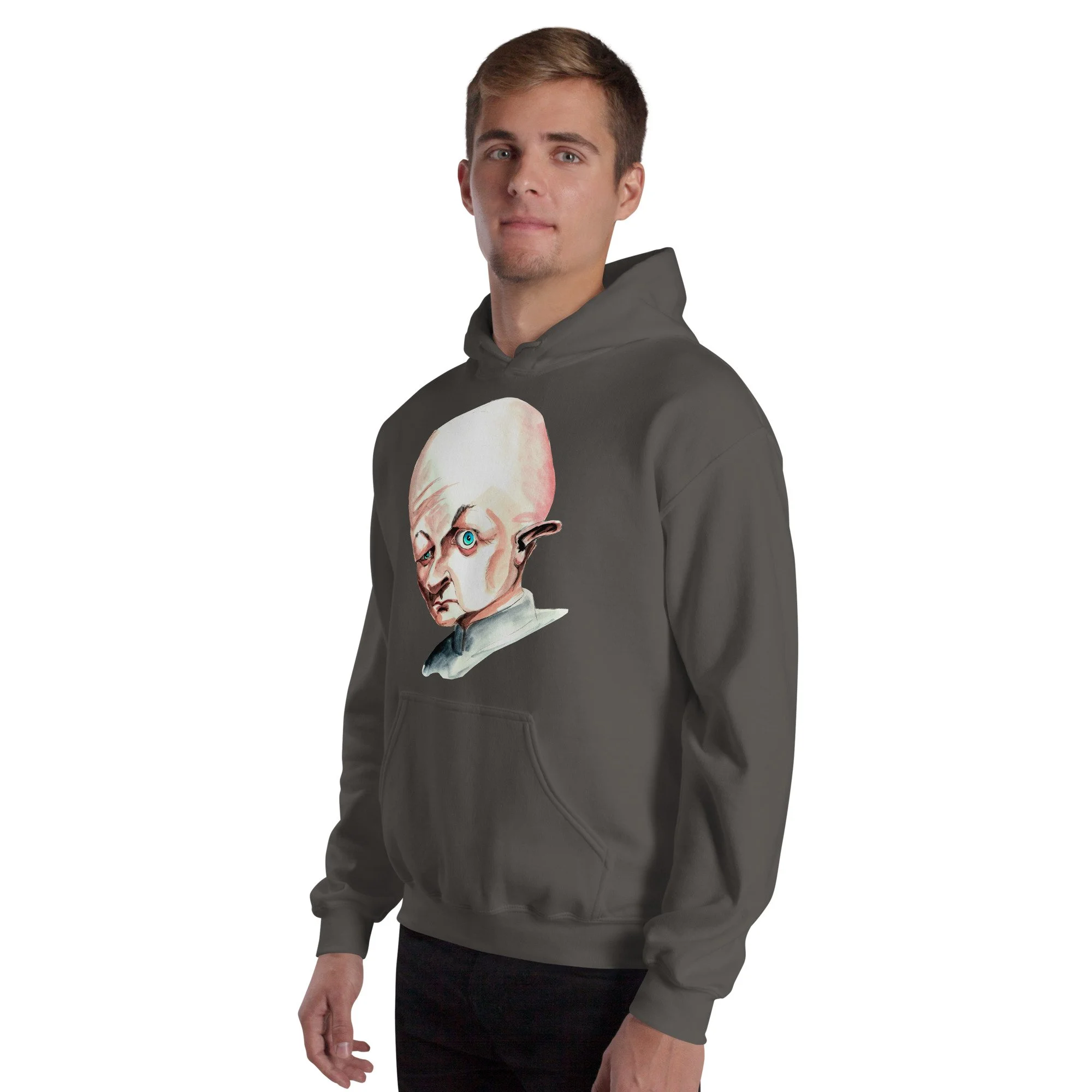 unisex-heavy-blend-hoodie-charcoal-left-front-6abdddf079a7f.jpg