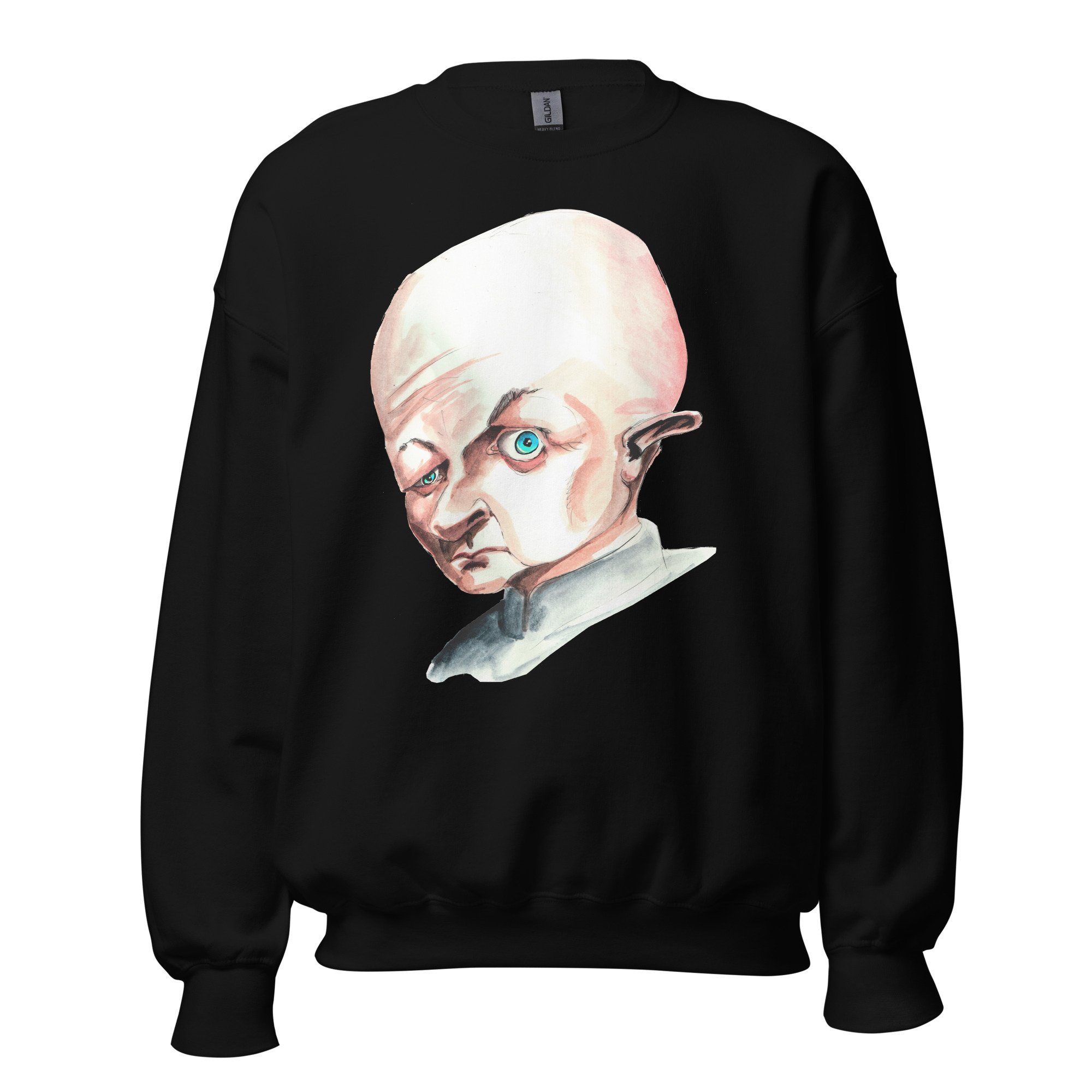 unisex-crew-neck-sweatshirt-black-front-6abddf078c998.jpg