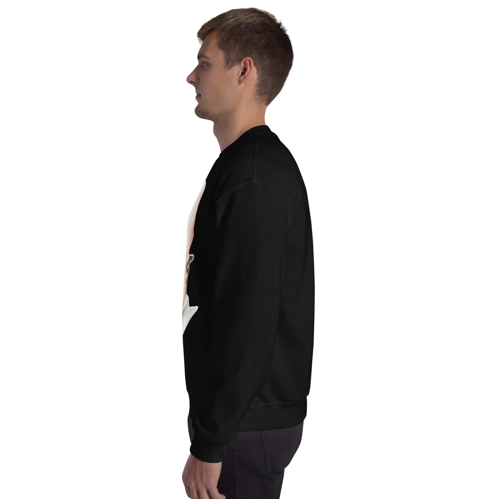 unisex-crew-neck-sweatshirt-black-left-6abddf0787c61.jpg