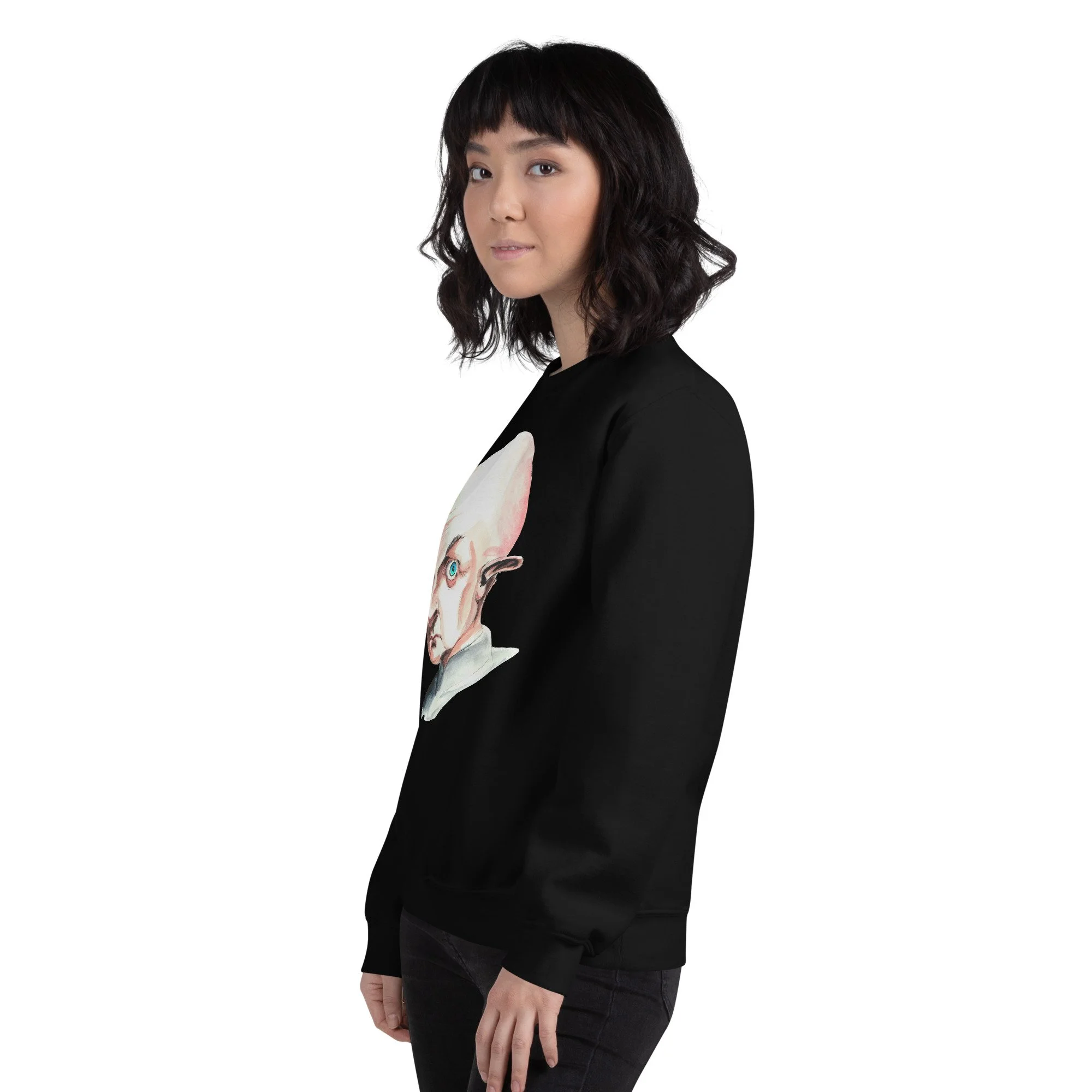 unisex-crew-neck-sweatshirt-black-left-front-6abddf078b3c8.jpg