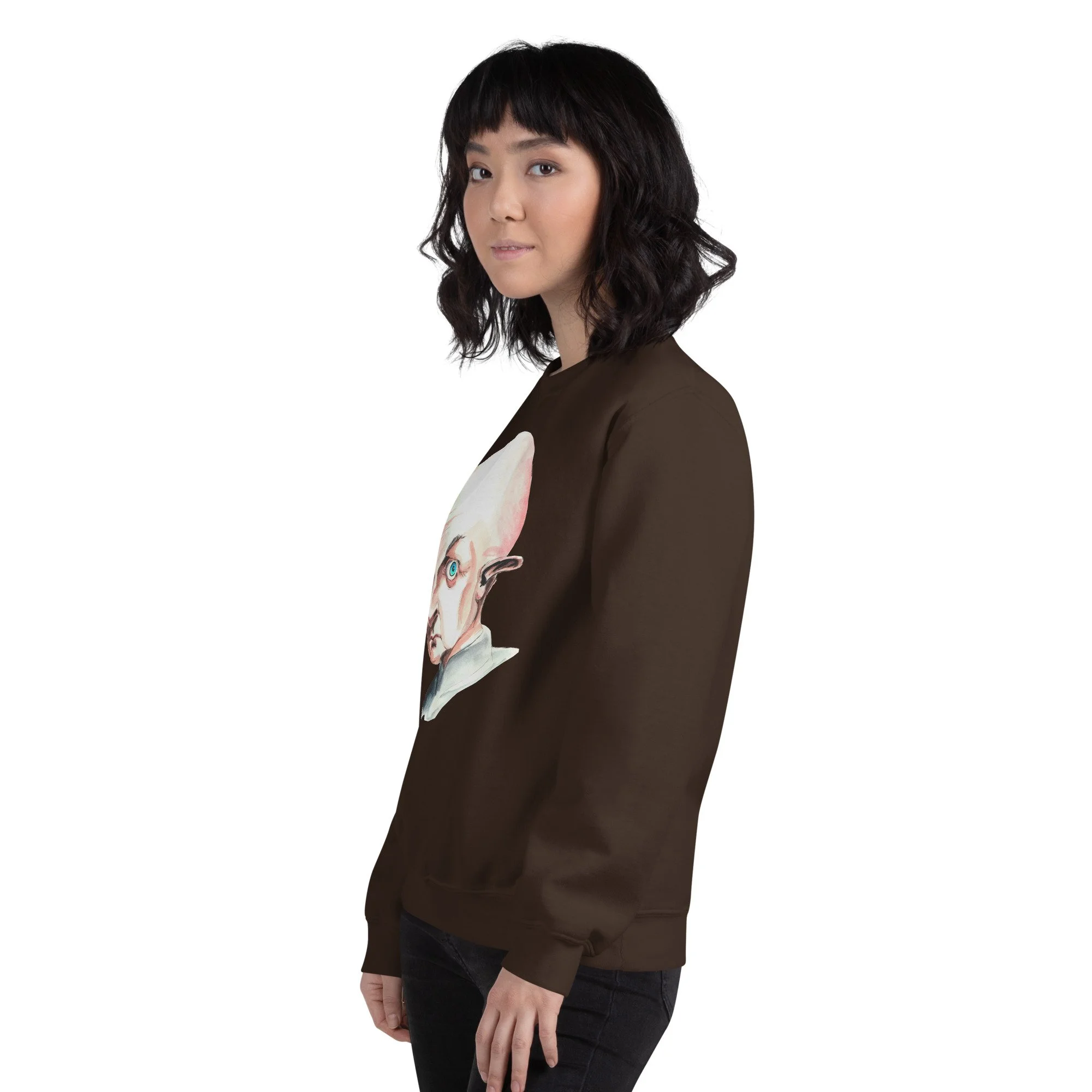 unisex-crew-neck-sweatshirt-dark-chocolate-left-front-6abddf078b499.jpg