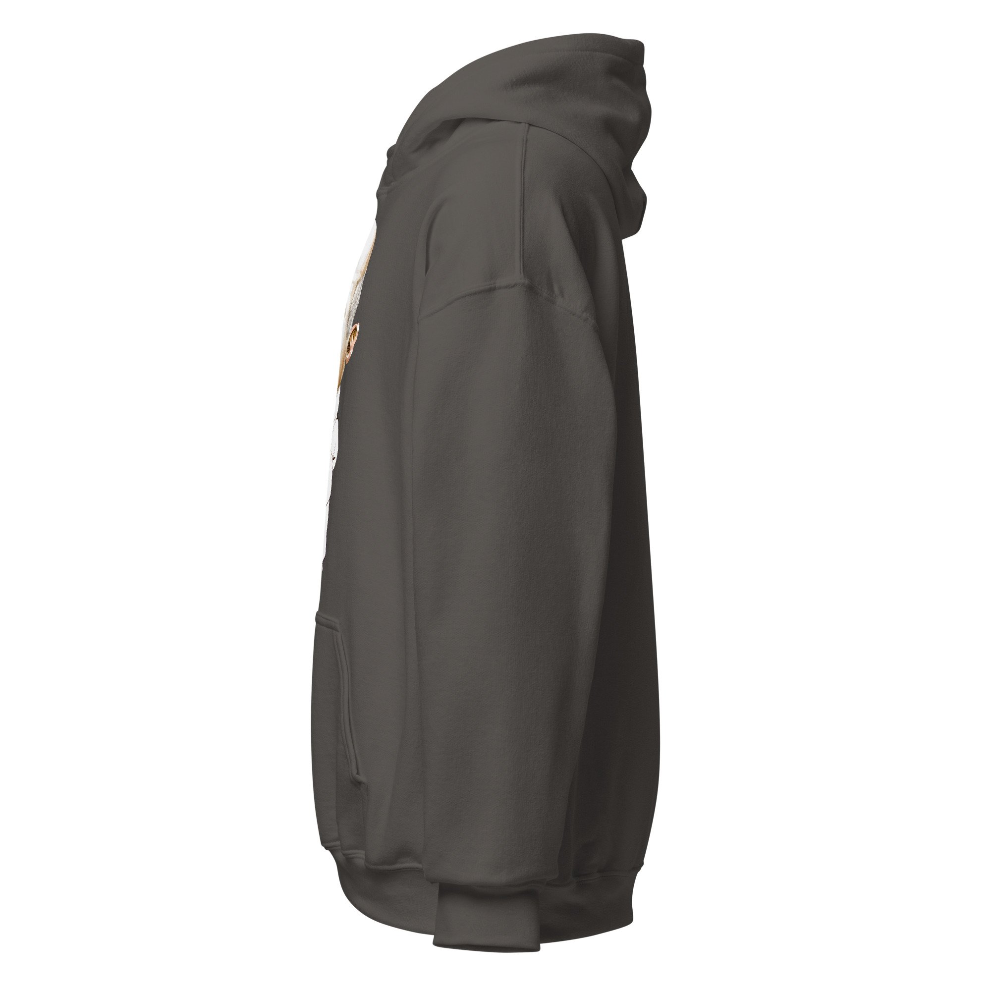 unisex-heavy-blend-hoodie-charcoal-left-6abddfb3bf859.jpg