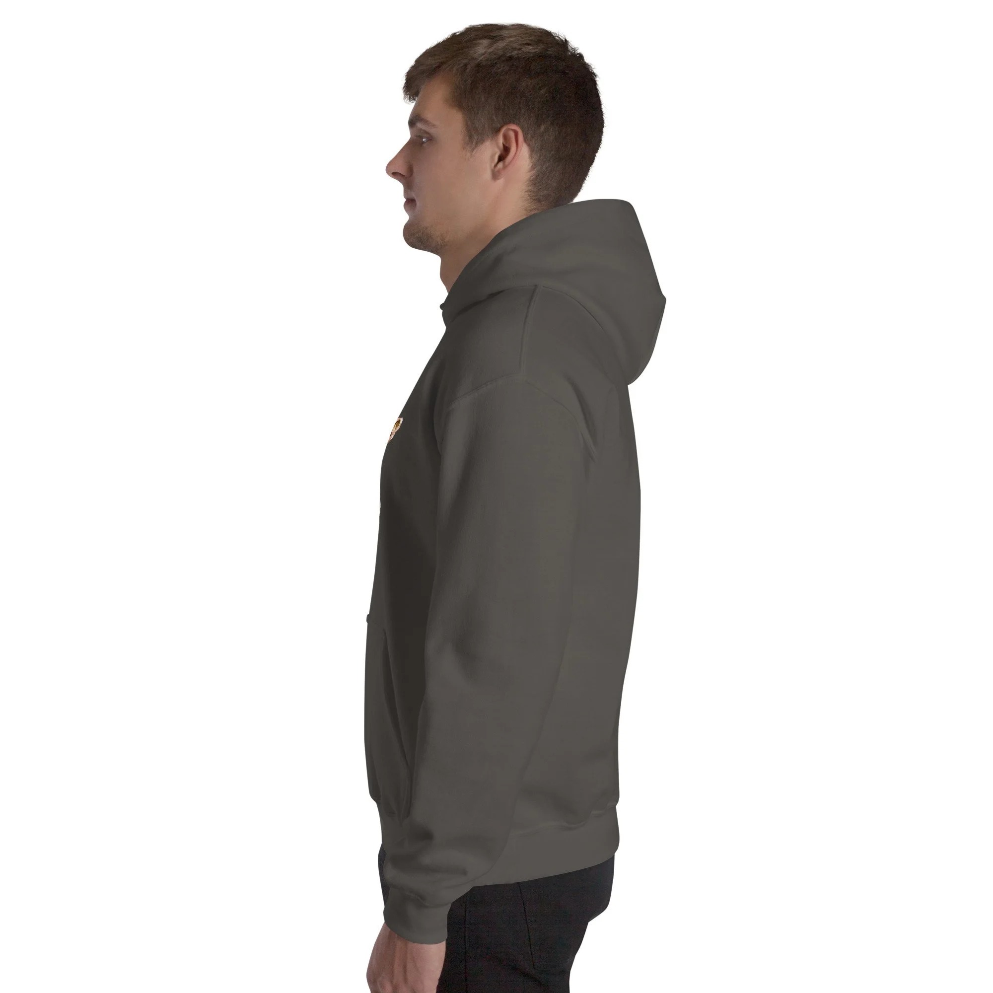 unisex-heavy-blend-hoodie-charcoal-left-6abddfb3bc207.jpg