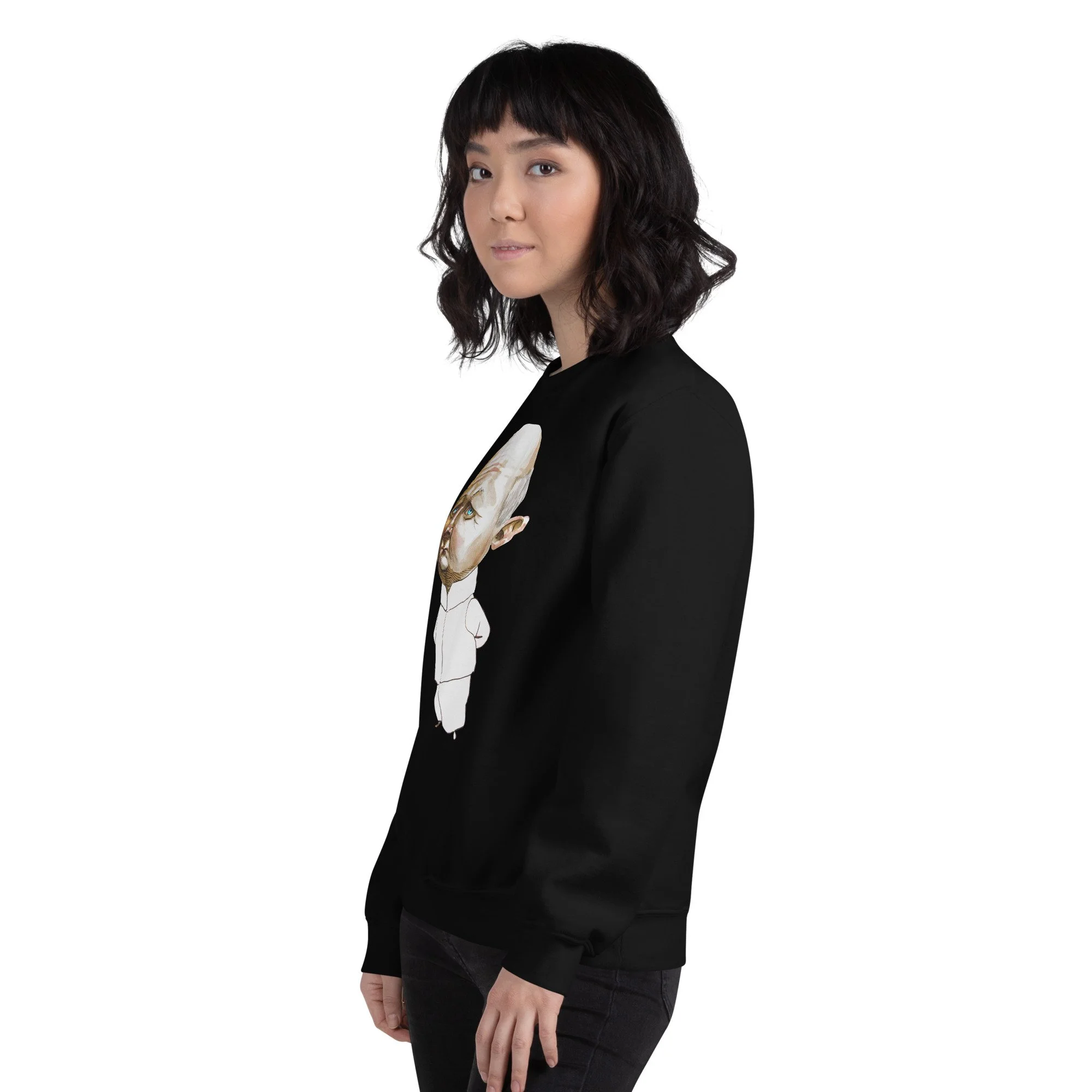 unisex-crew-neck-sweatshirt-black-left-front-6abde09d11e14.jpg