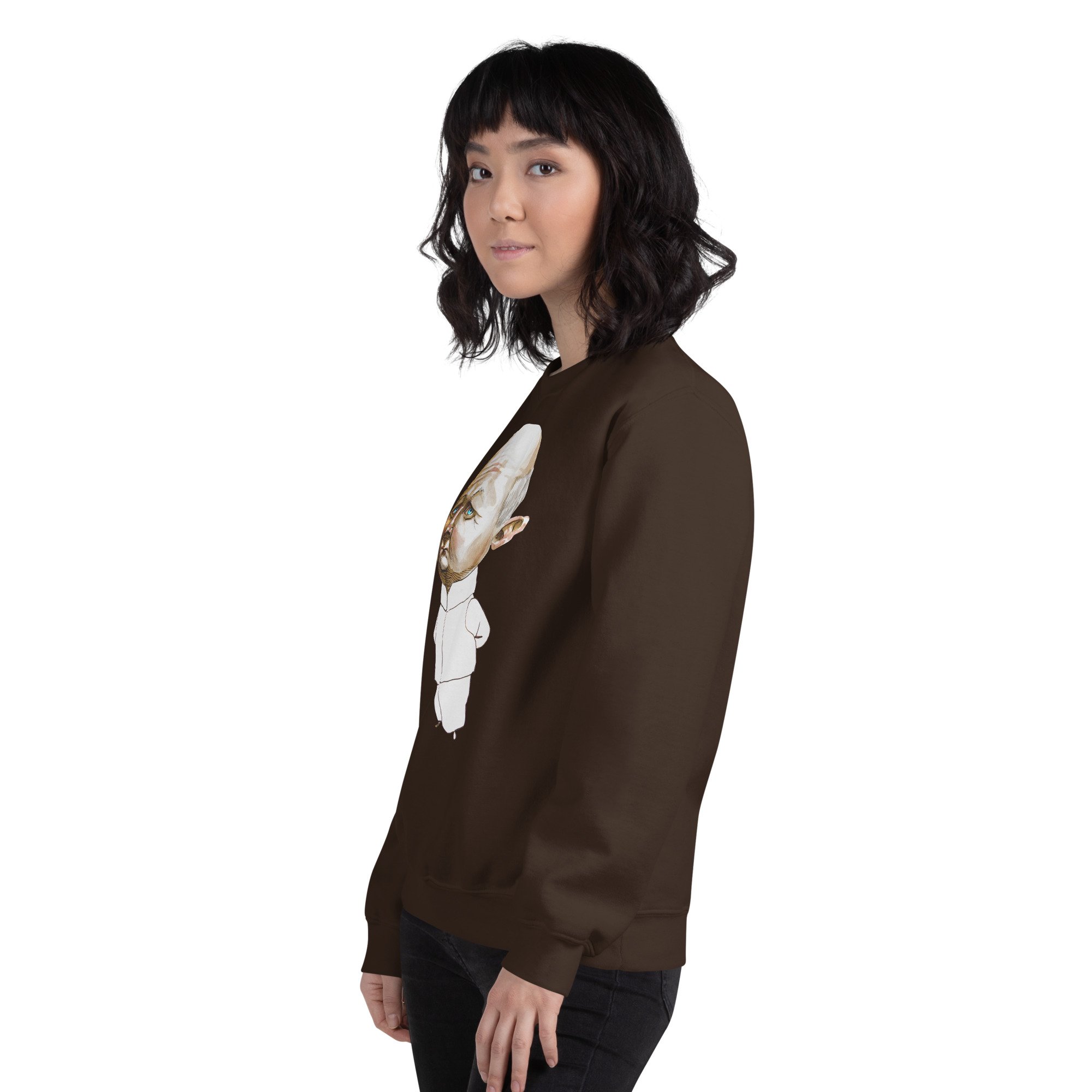 unisex-crew-neck-sweatshirt-dark-chocolate-left-front-6abde09d11ef5.jpg