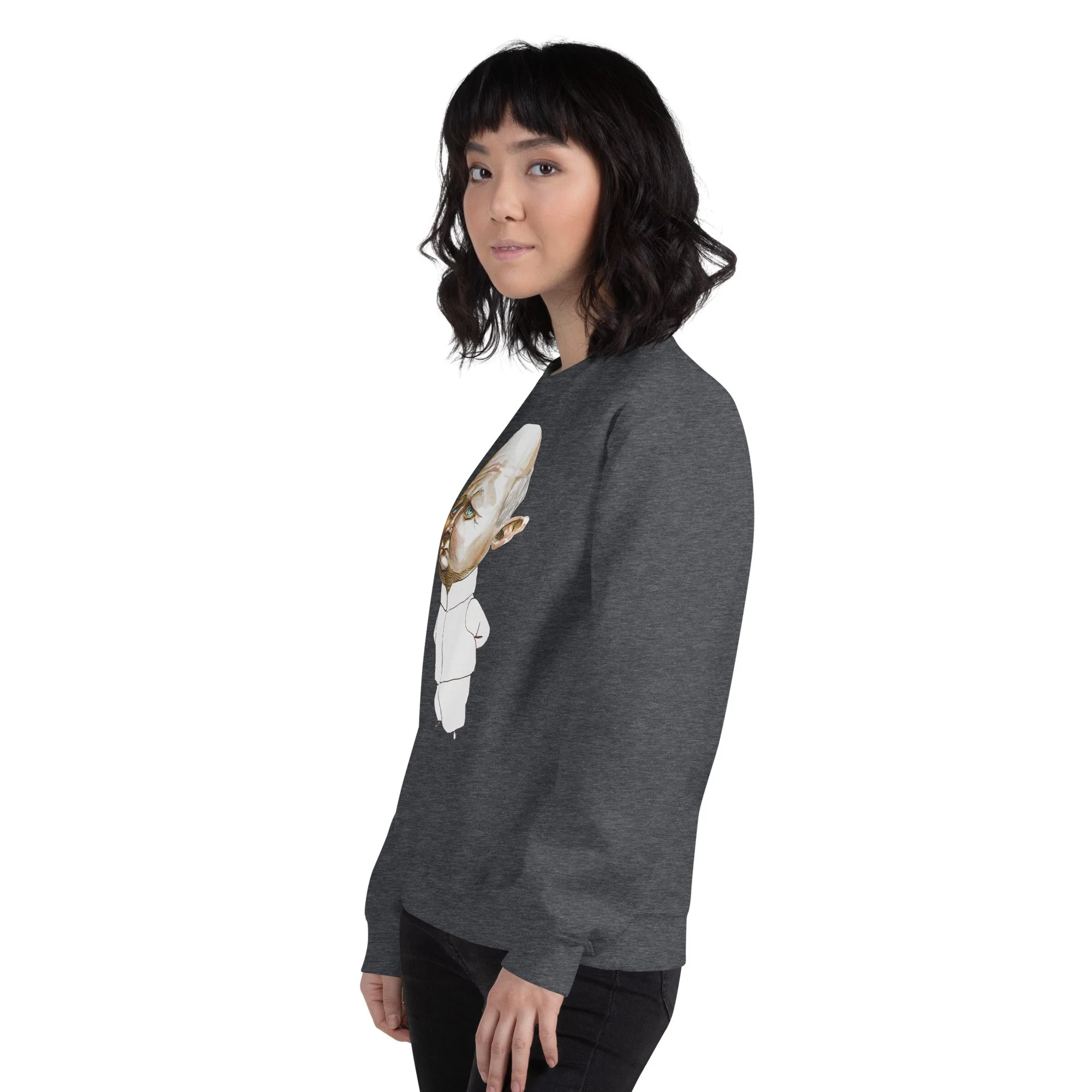 unisex-crew-neck-sweatshirt-dark-heather-left-front-6abde09d11e89.jpg