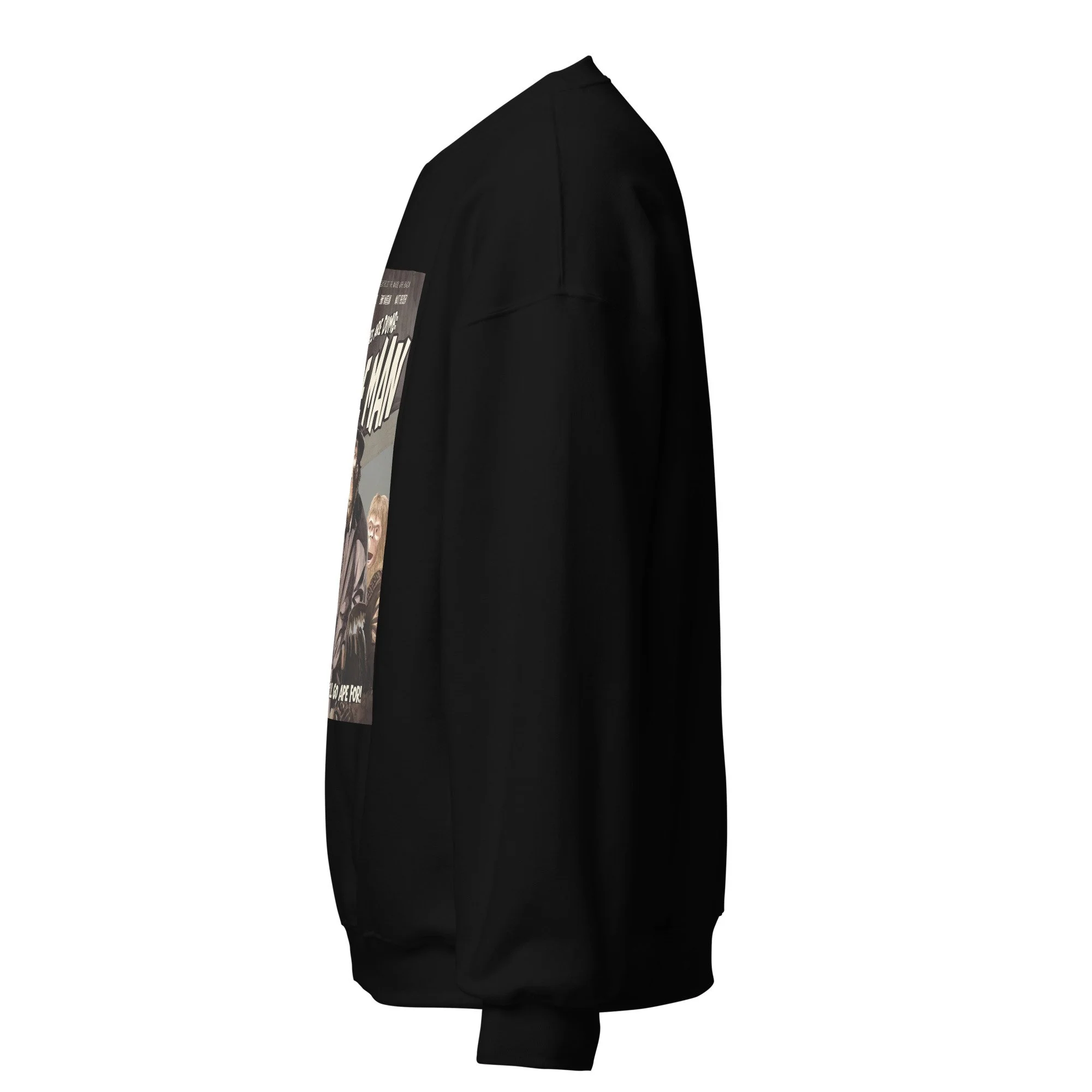 unisex-crew-neck-sweatshirt-black-left-6abde36768098.jpg