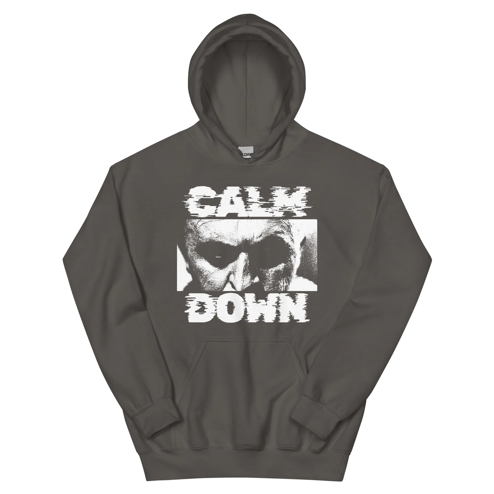 unisex-heavy-blend-hoodie-charcoal-front-6ad2cf3dcd38a.jpg