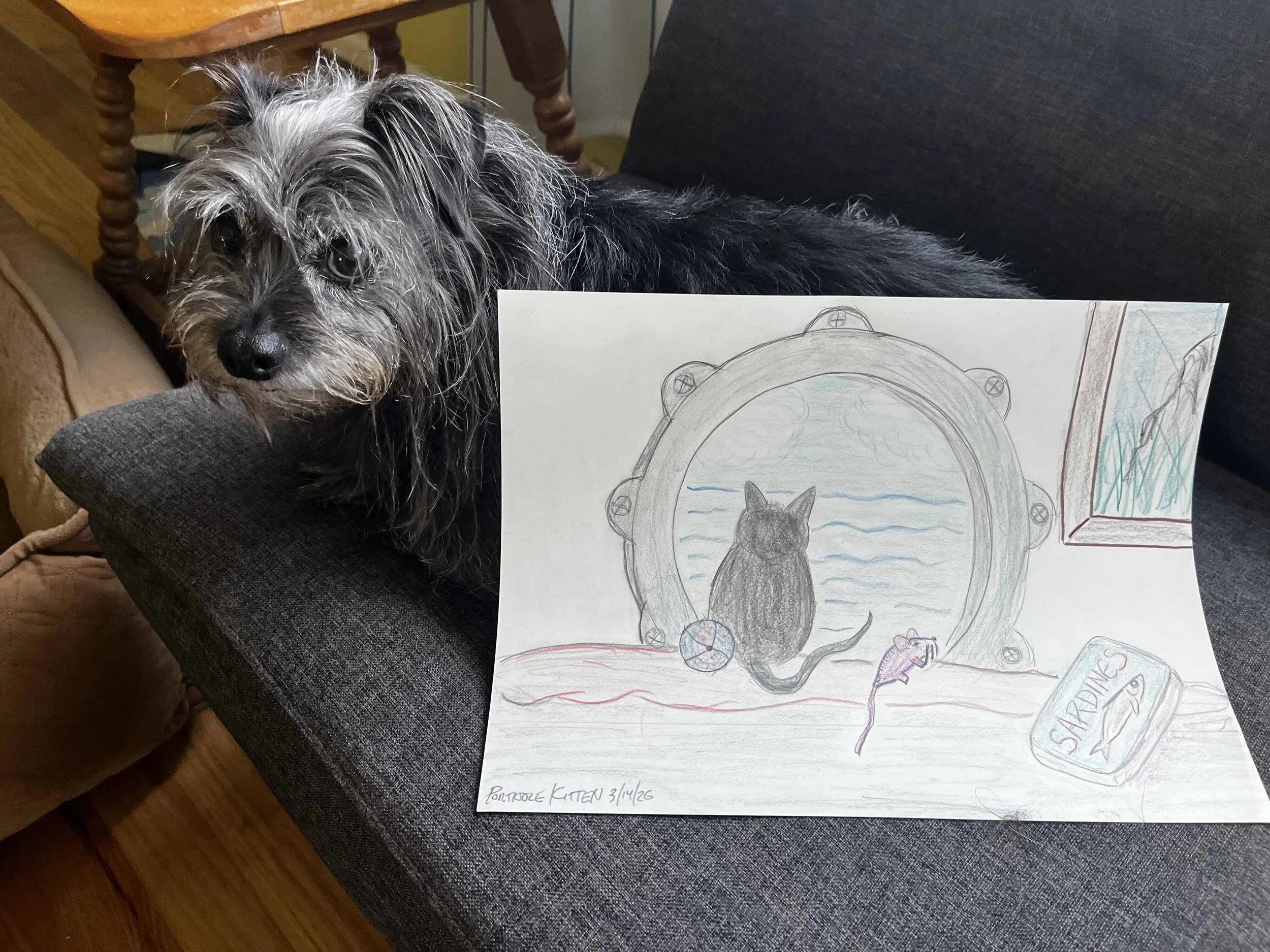 "Porthole Kitten" by landonewts