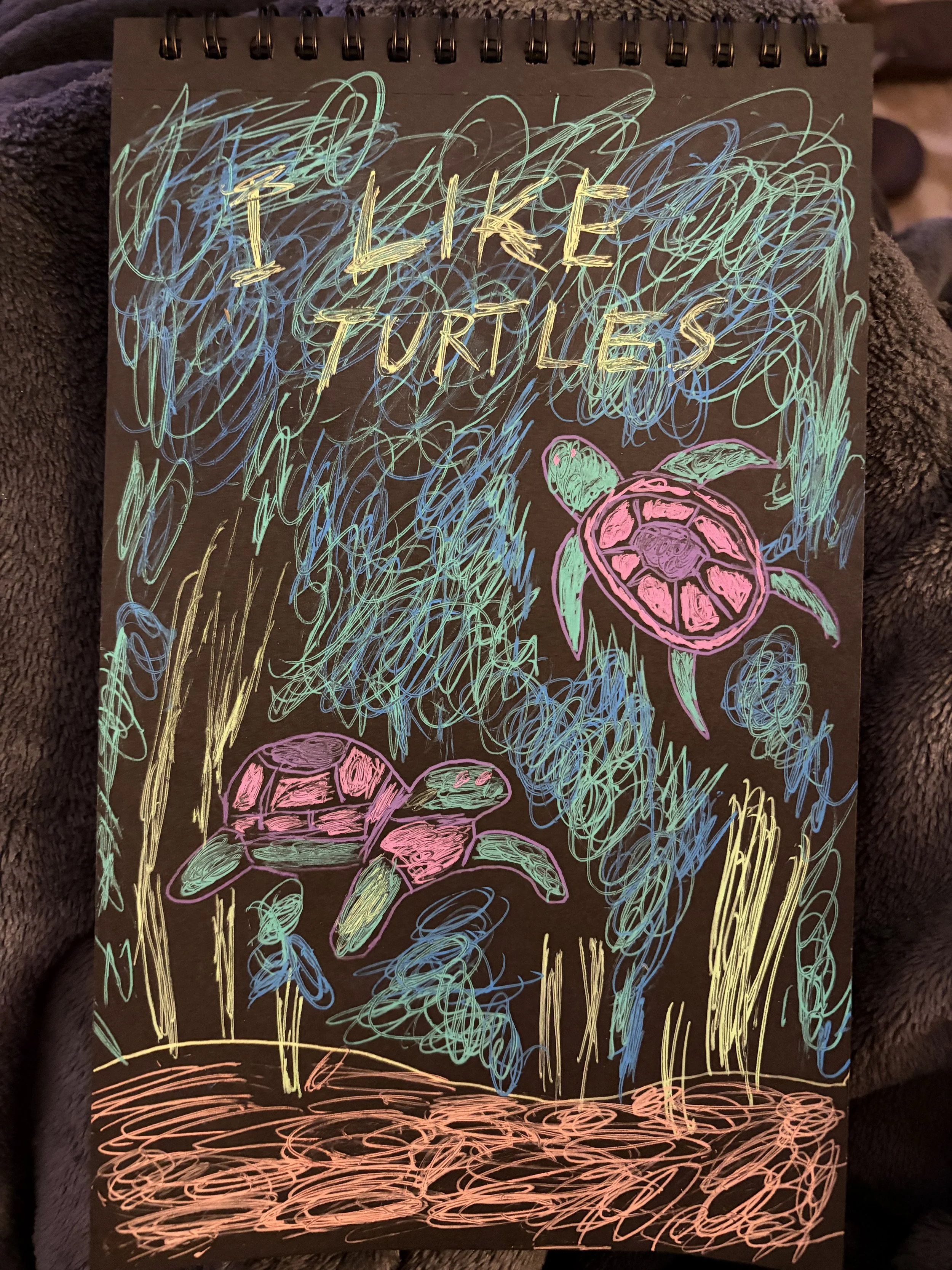"I Like Turtles" by Matt Reiser
