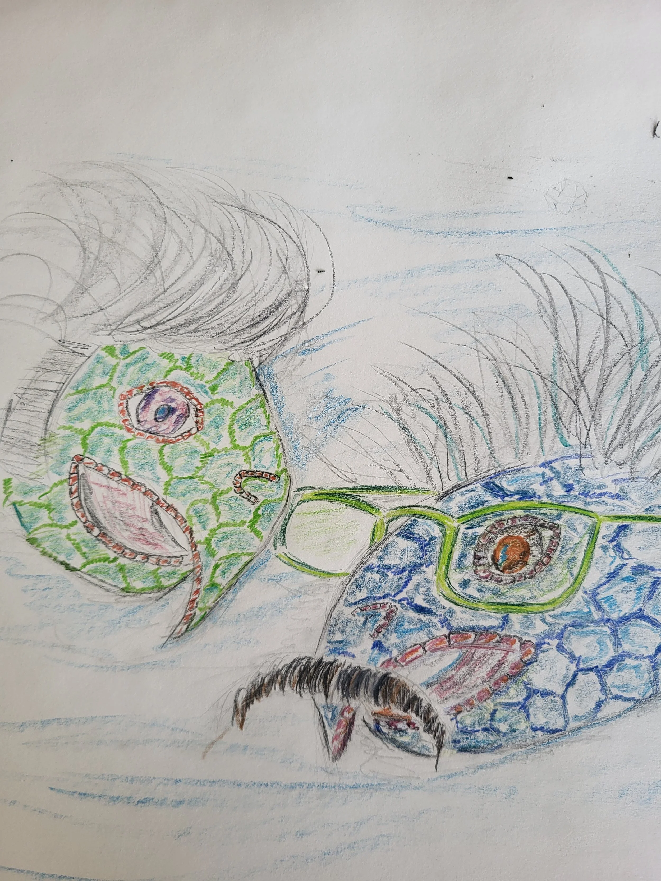 "The Mad Turtles" by Dan Willis