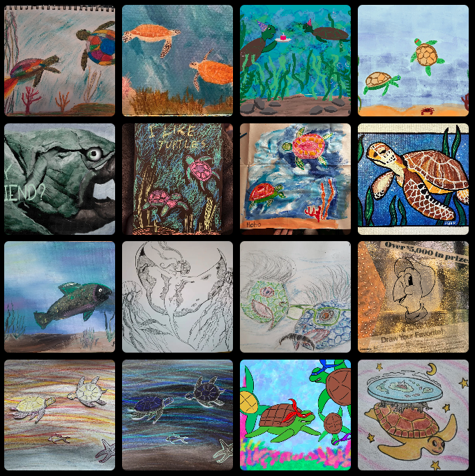 Ocean Turtles