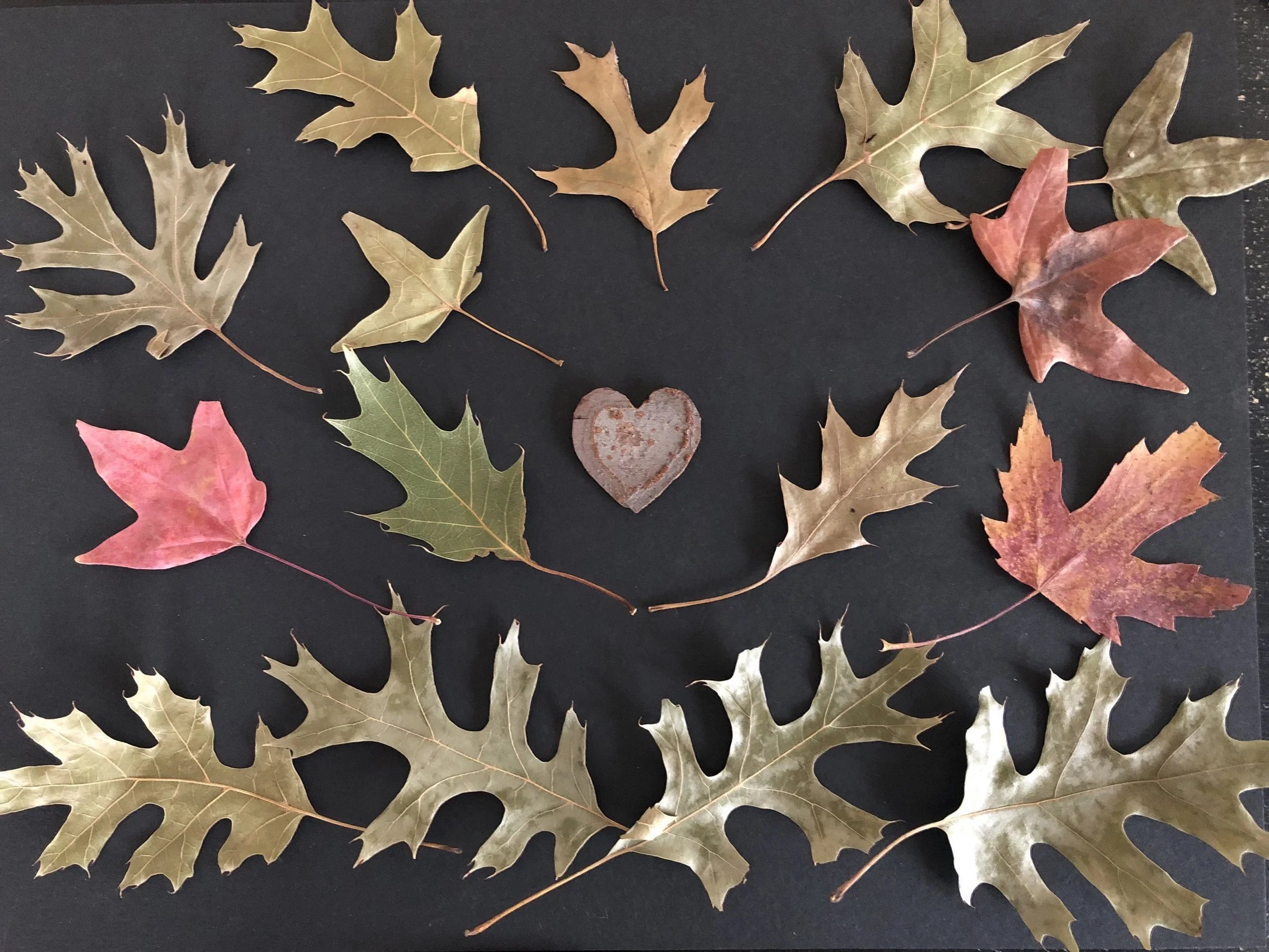 "The Heart of Wood" by Q