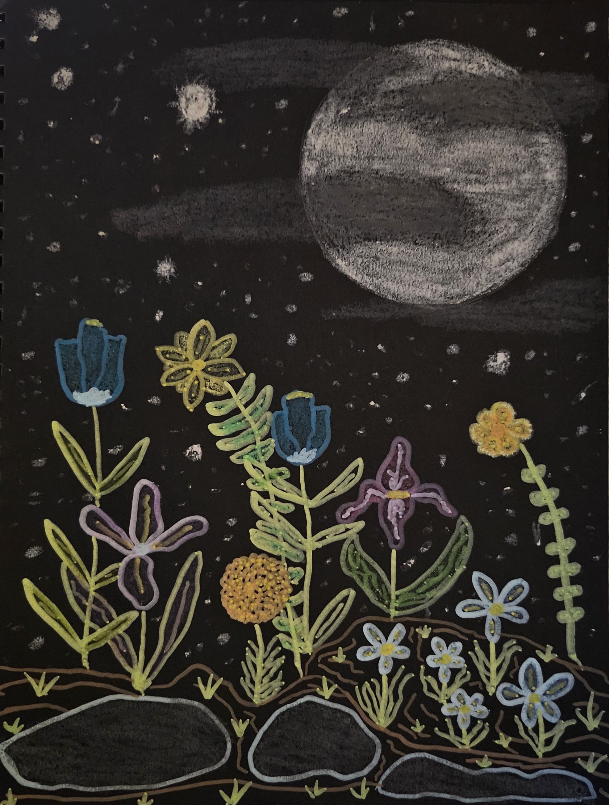 "Moon Garden" by damagedthirdeye