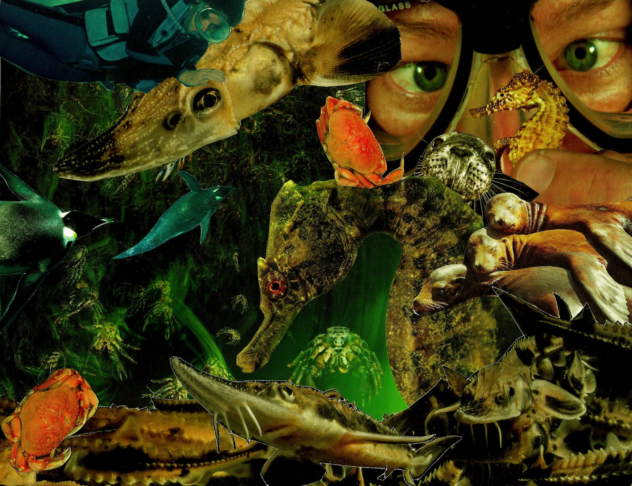 "Sargassum" by landonewts