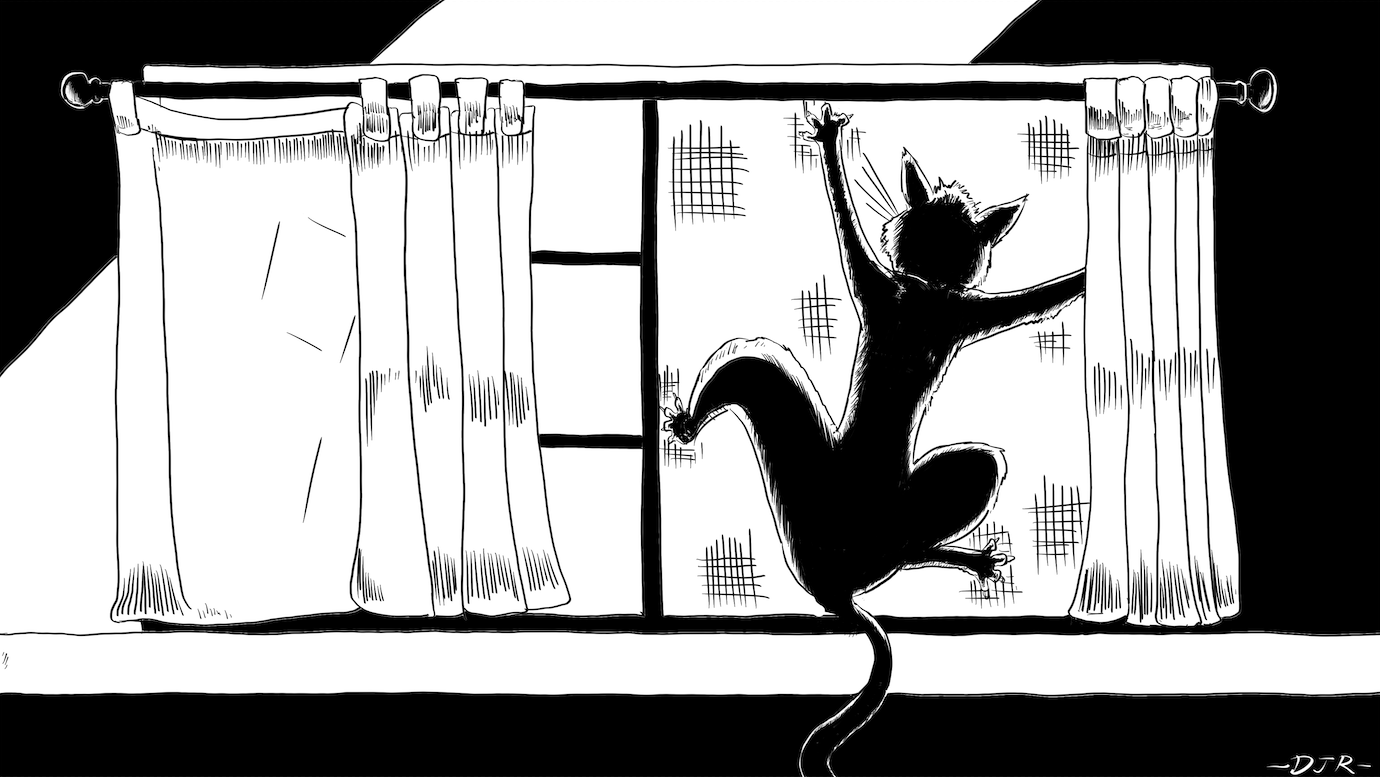 "Kitty in the Window" by LizVender