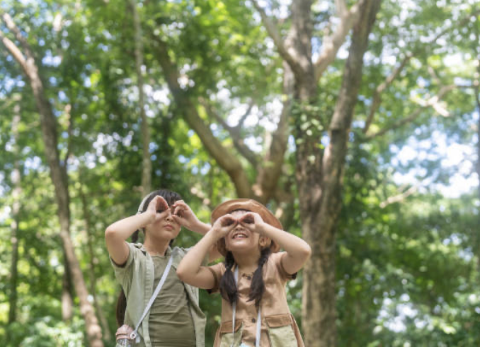 Jungle Explorers - 10 au 14 août