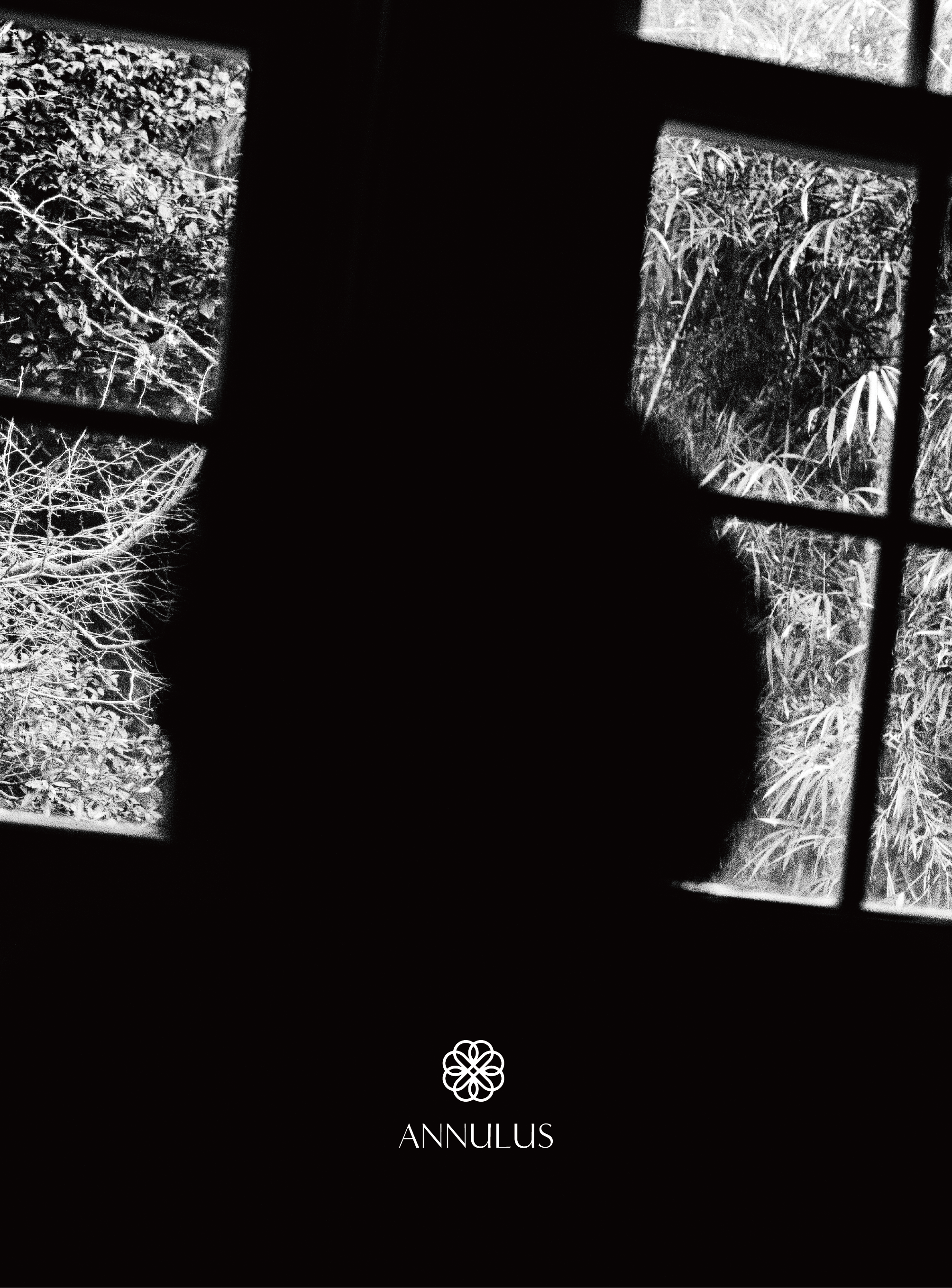 ANNULUS ISSUE003