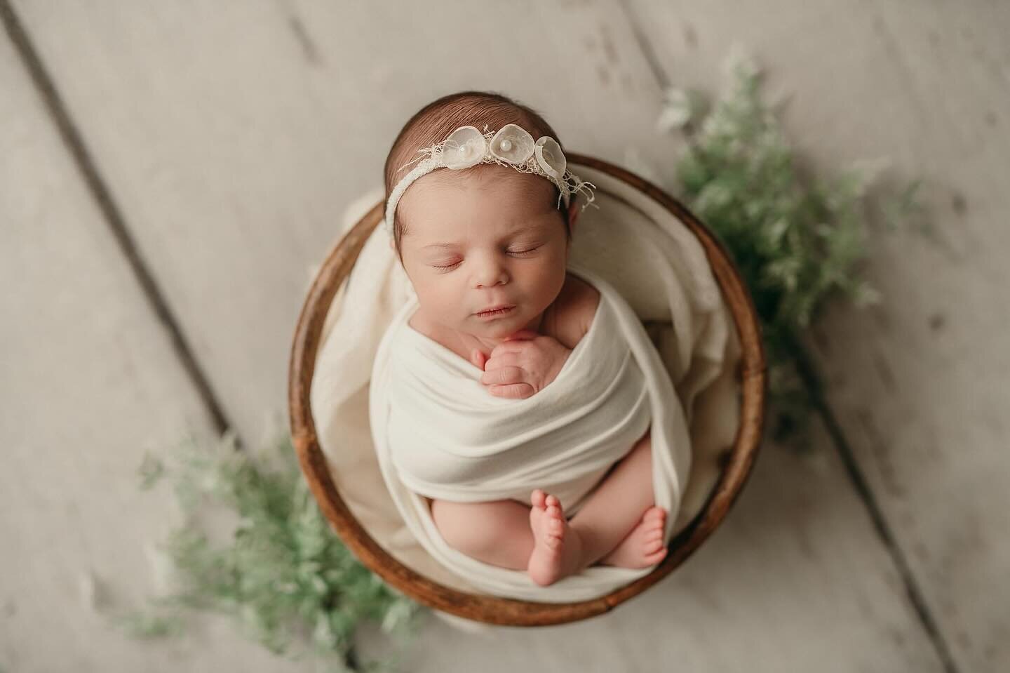 🤍 Now booking newborns due December-June 

#newborn #newbornphotography #newbornphotoshoot #newbornphotographer #rhodeisland #rhodeislandphotographer #rhodeislandphotography #riphotographer #babyphotography #babyphotoshoot #bostonnewbornphotographer