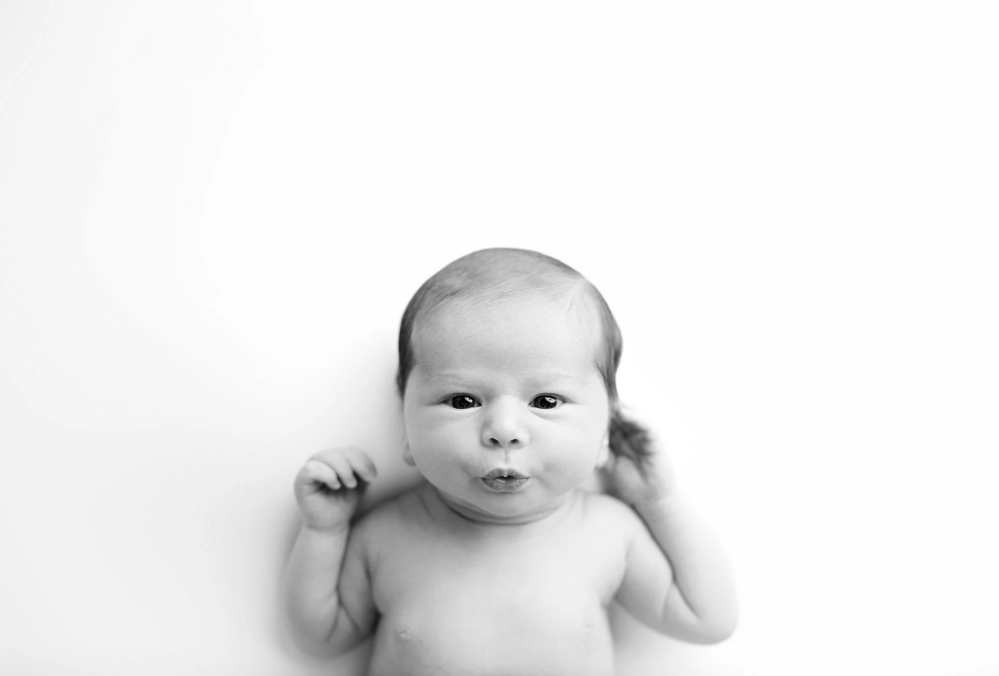 DSC_7492bw3 copy.jpg