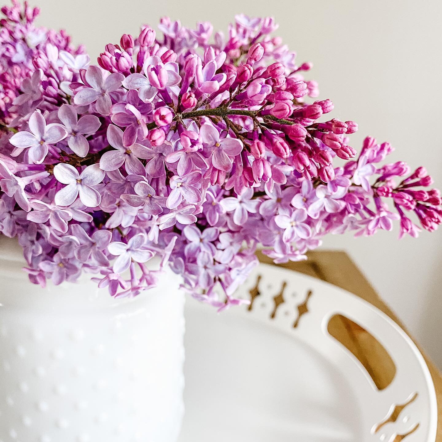 Rainy days brightened by fresh blooms. 
&bull;
&bull;
&bull;
#lilacseason #freshblooms #creatinghome #howyouhome #mynaturalabode #aabhome #homesweethome #kitchentabledecor #lilacs #nothingisordinary #makinghouseahome