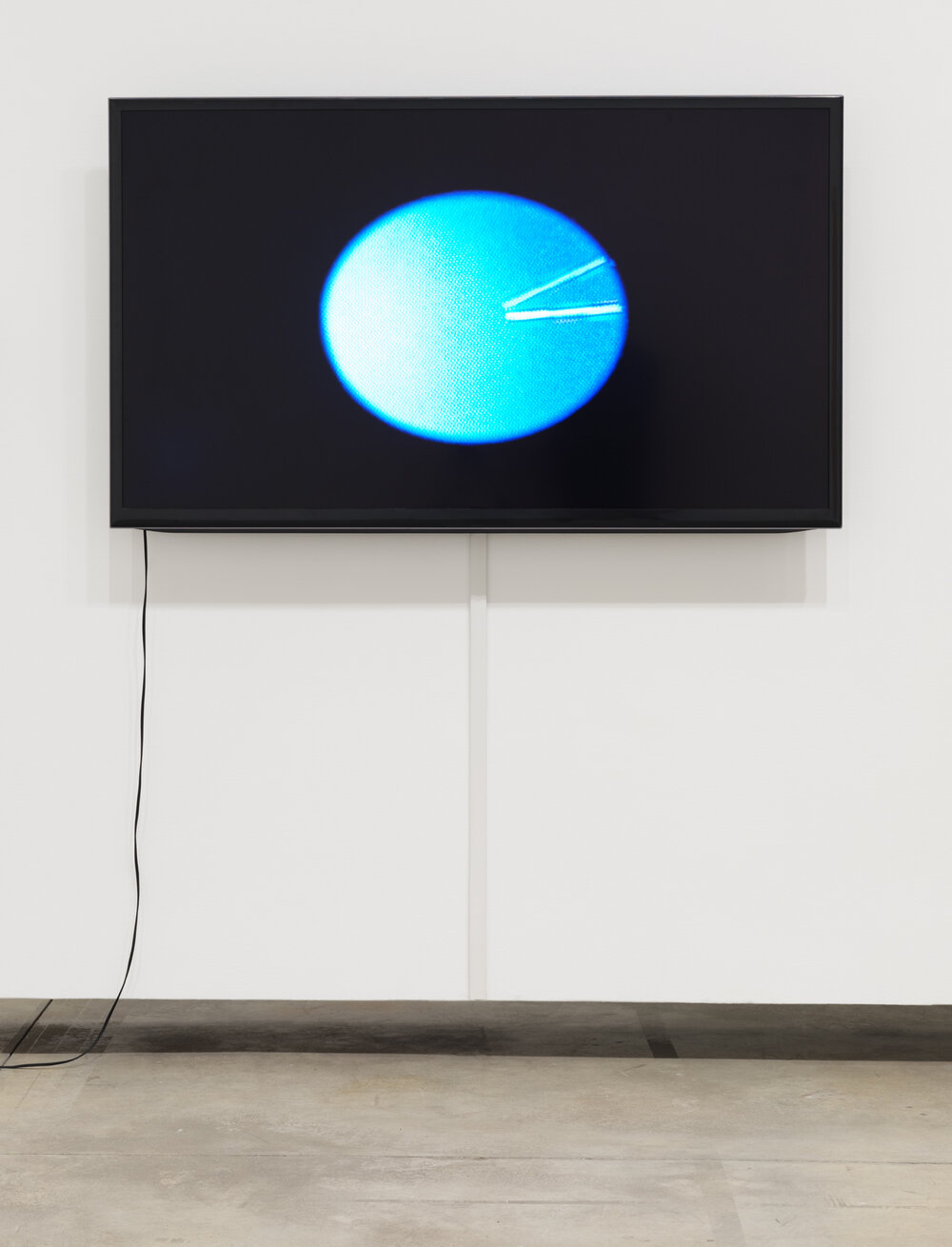  Kite,  L-sys visualization,   Listener , 2018, video. Collection of the artist. Installed at the Morris and Helen Belkin Art Gallery, University of British Columbia. Photo: Rachel Topham Photography. 
