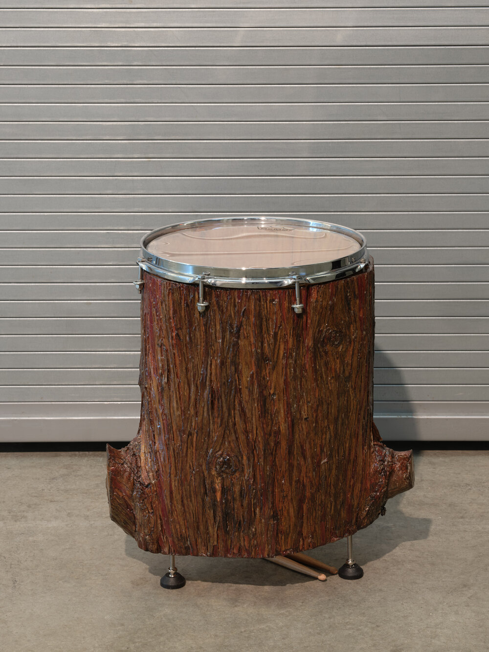  Germaine Koh,  Crowd Shyness: the sound of its making , 2020, Hollowed cedar stump, drum head, hardware, resin, weather report. Collection of the artist. Installed at the Morris and Helen Belkin Art Gallery, University of British Columbia. Photo: Ra