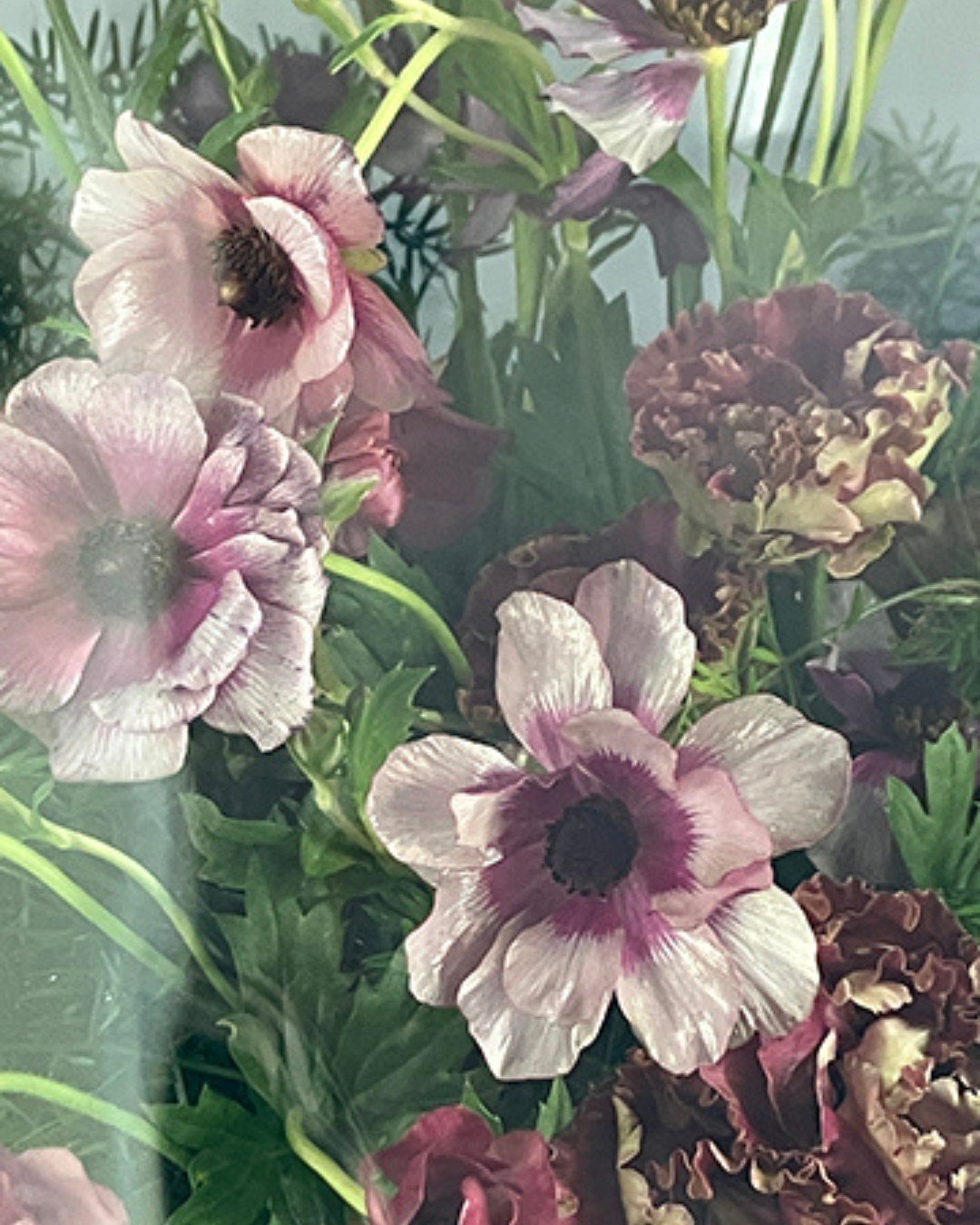 Come see Slug Eggs! Starting Saturday, January 17! 

In her new body of work, Slug Eggs, Bree Apperley explores the impact of technology on our society, feminine expression in a capitalist system, and what she sees as the compromised nature of modern