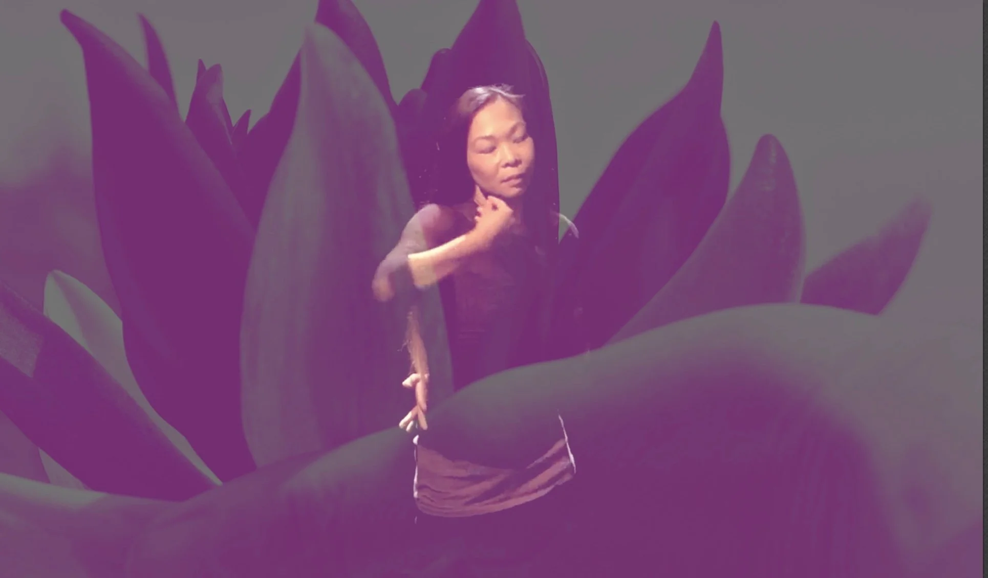 Dance Performance and Talk