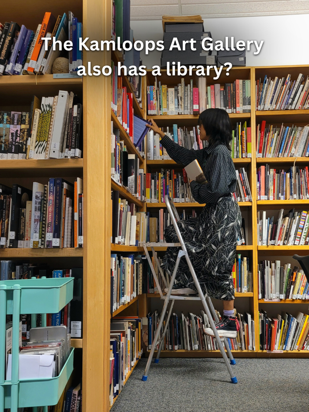 HHD+Library+%281%29.png