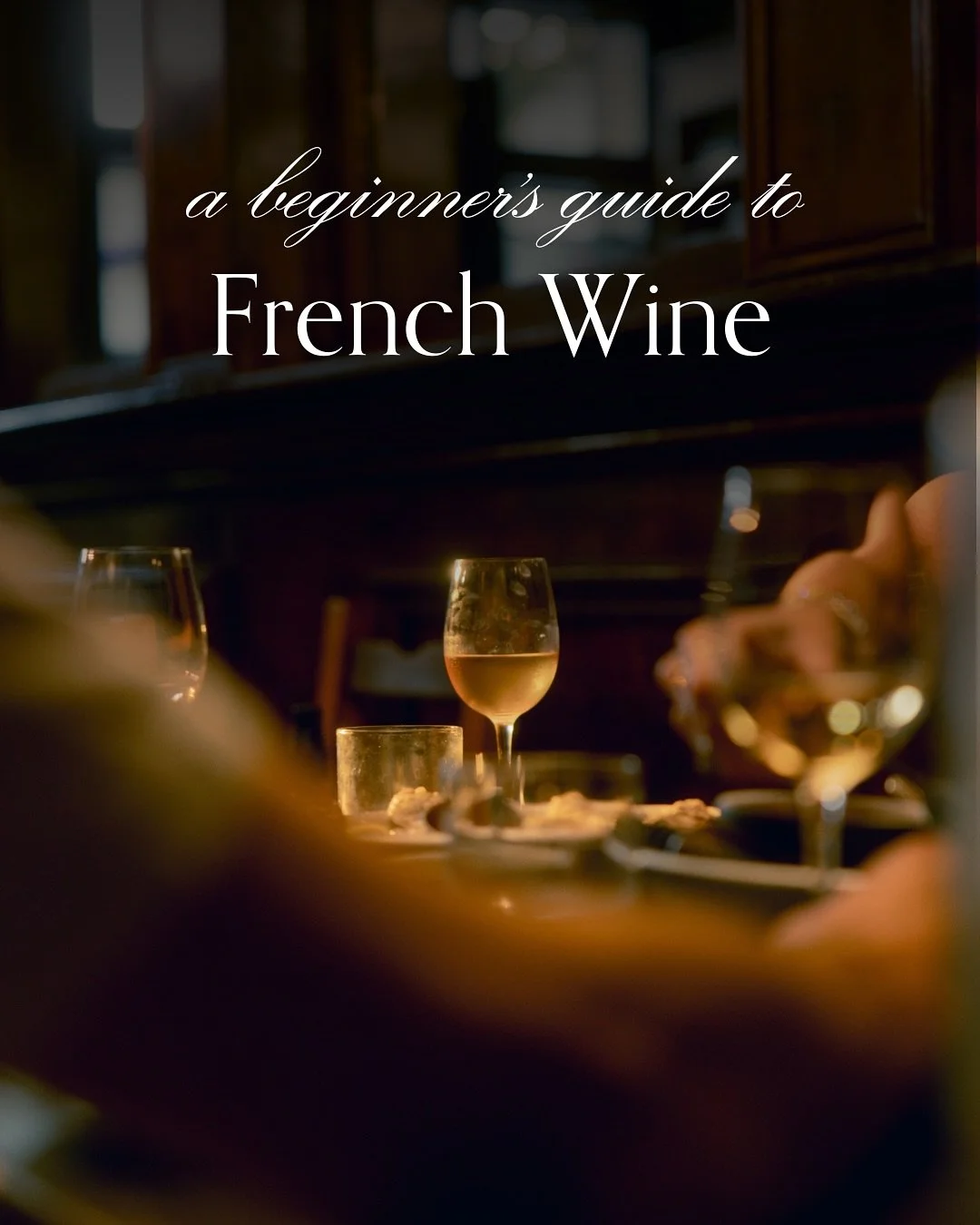 Class is in session! Welcome to French Wine 101 🍷🇫🇷 If you&rsquo;re completely new to wine or just want to sound a little more in the know at your next dinner party, this is your beginner-friendly guide to French wine, including a quick history le
