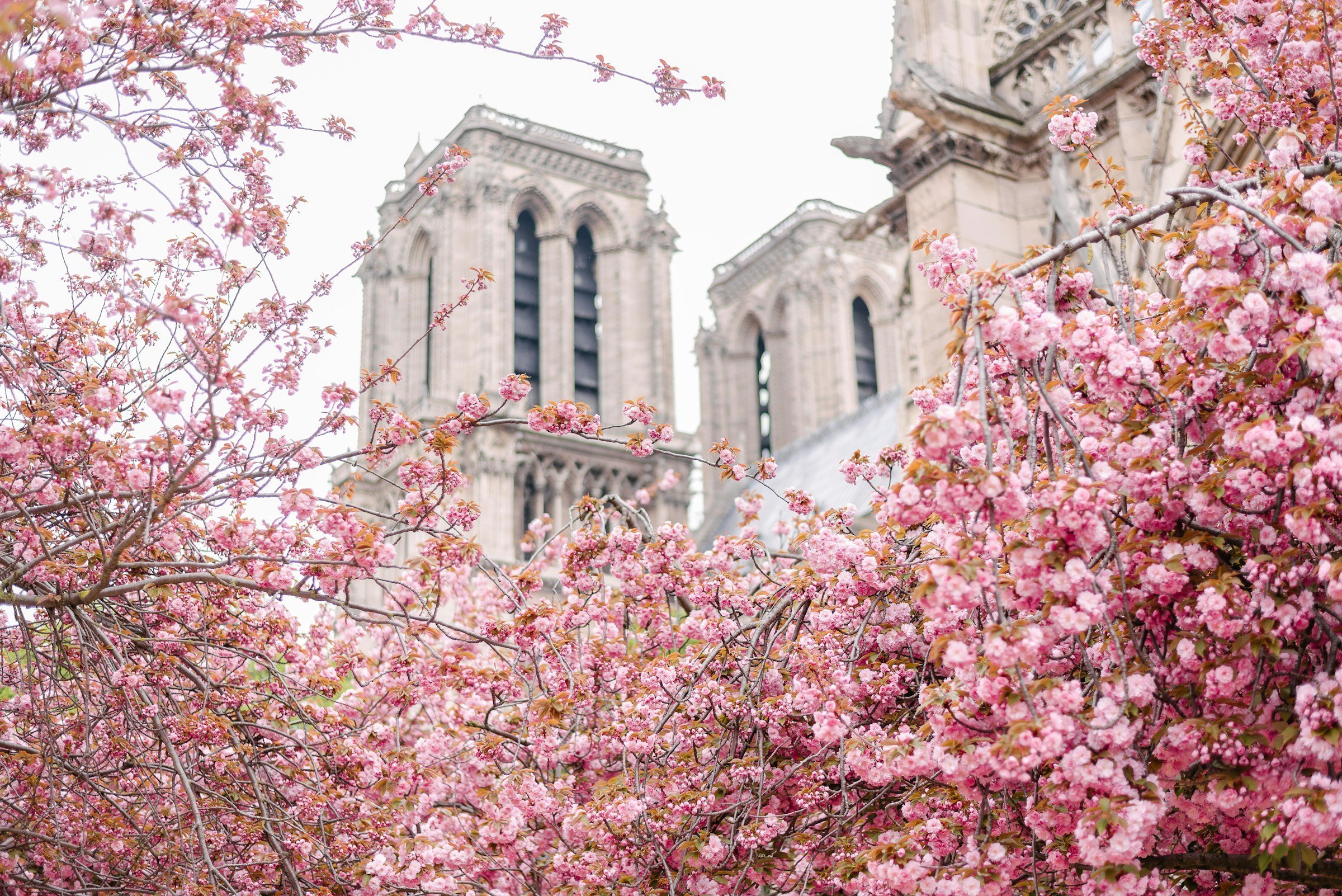 What to Do in Paris in the Spring