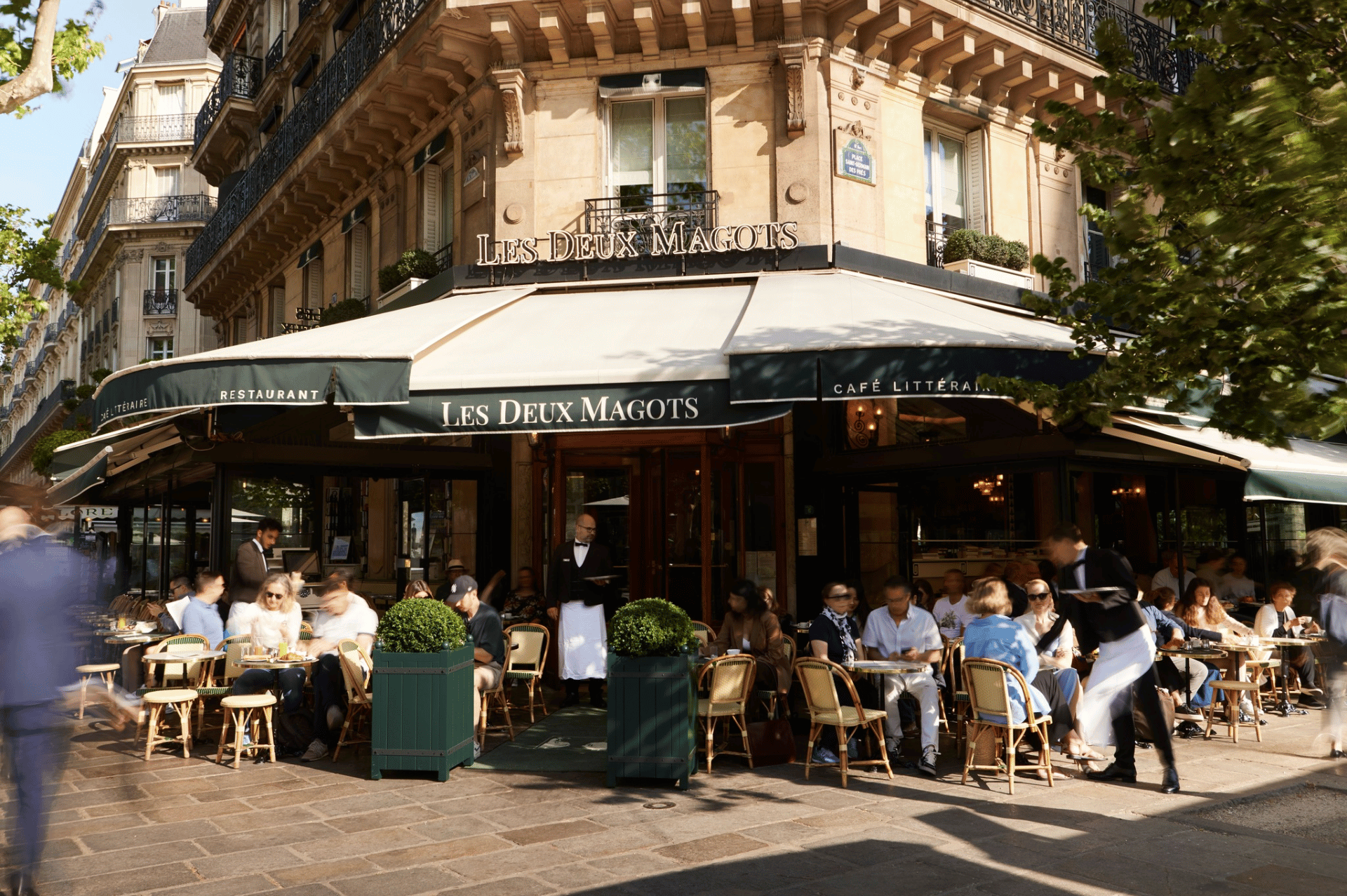 les deux magots