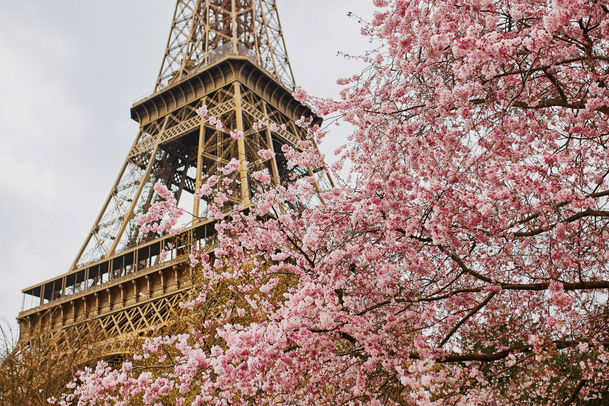 things to do in paris in may