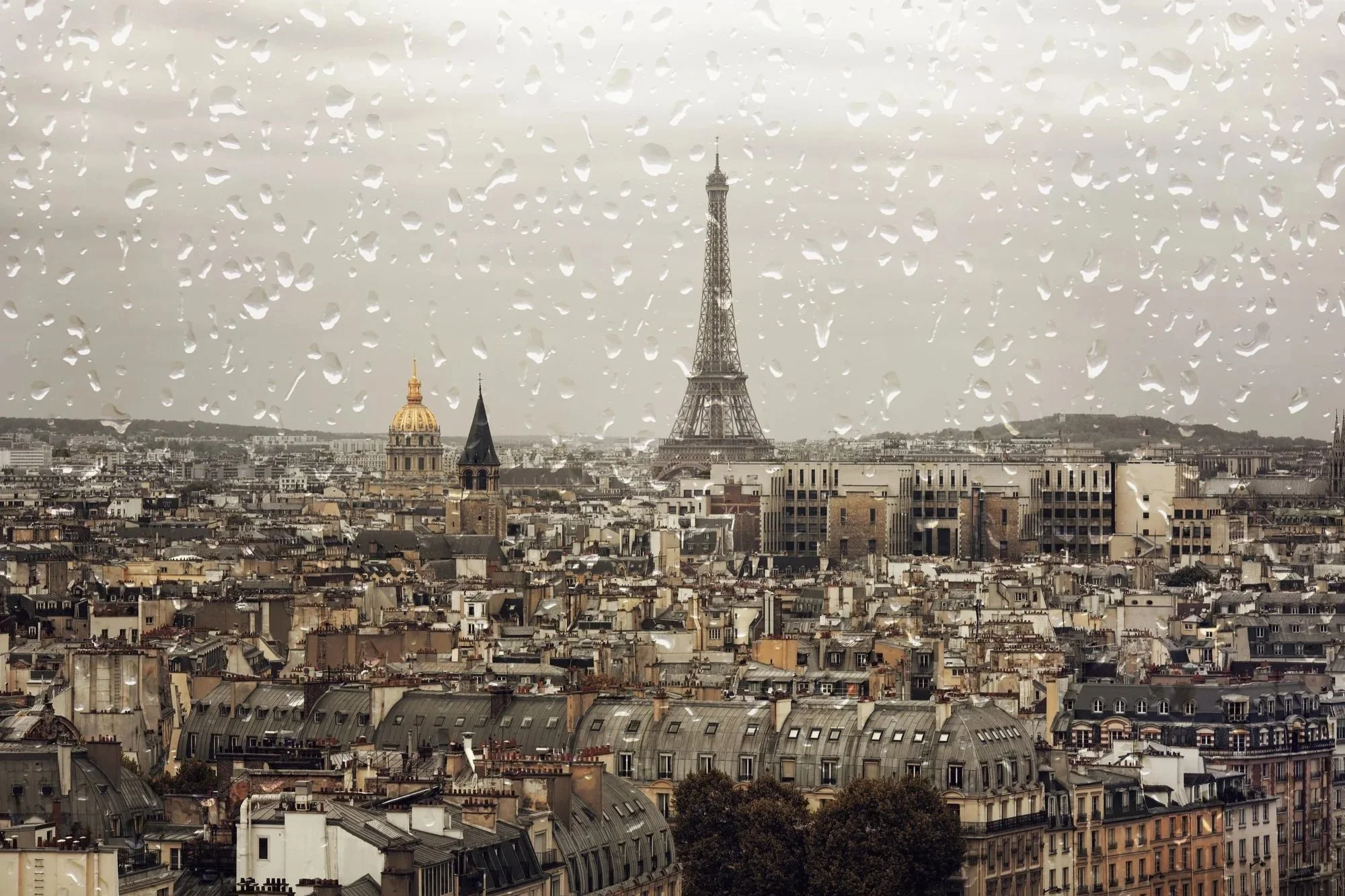 what to do in paris when it rains.jpg