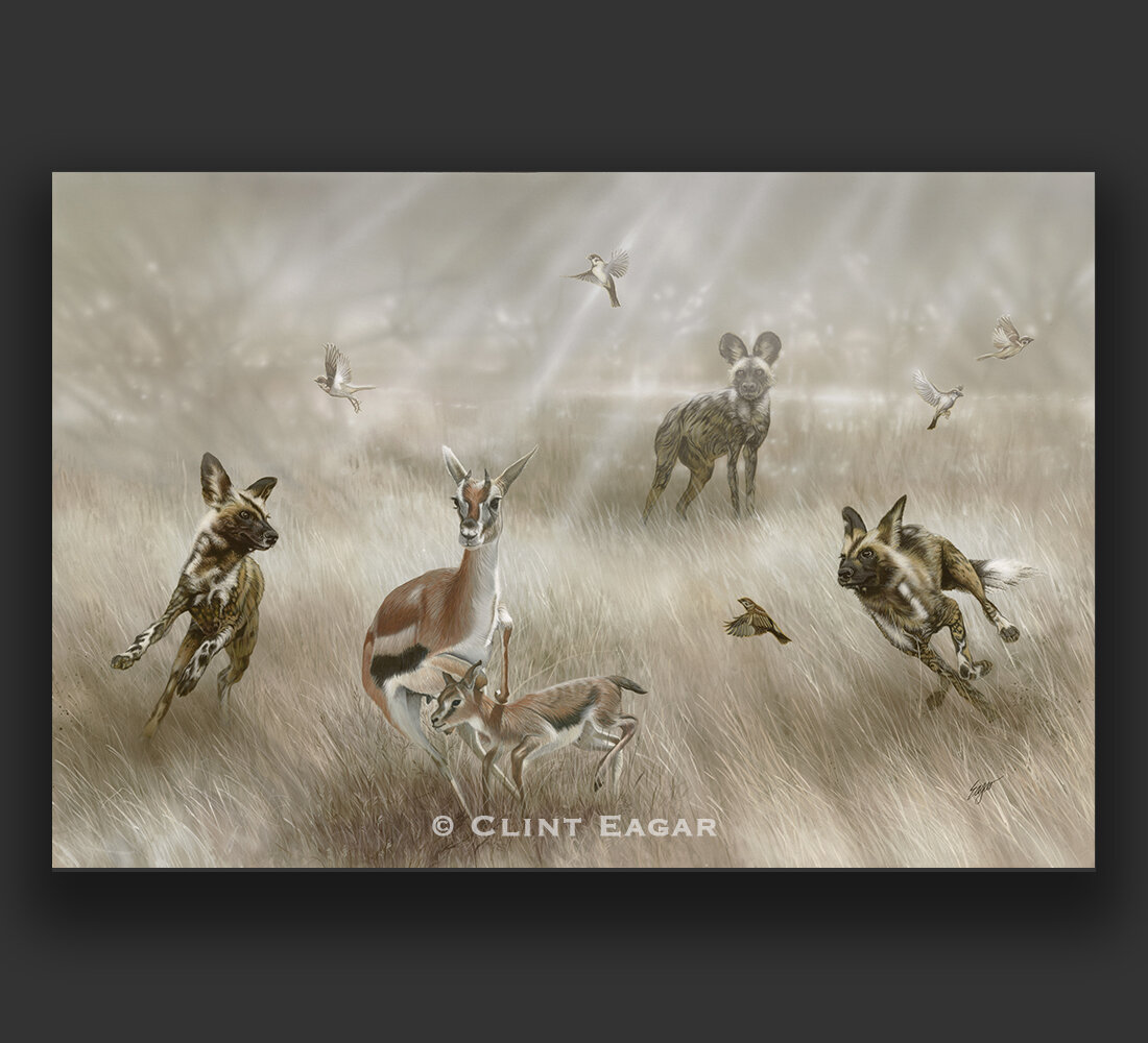 Wild Dot Artwork | Clint Eagar Design