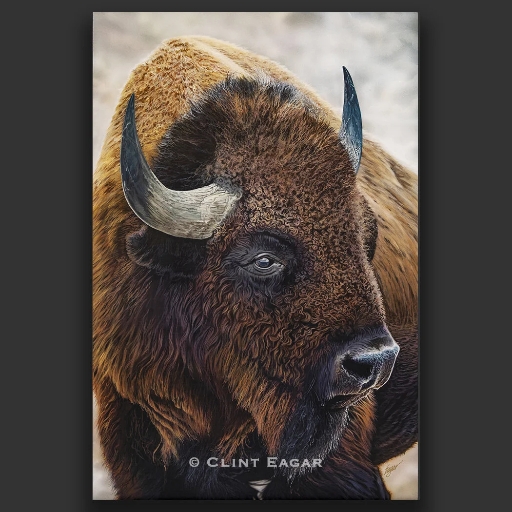 Bison Artwork - Clint Eagar copy.jpg
