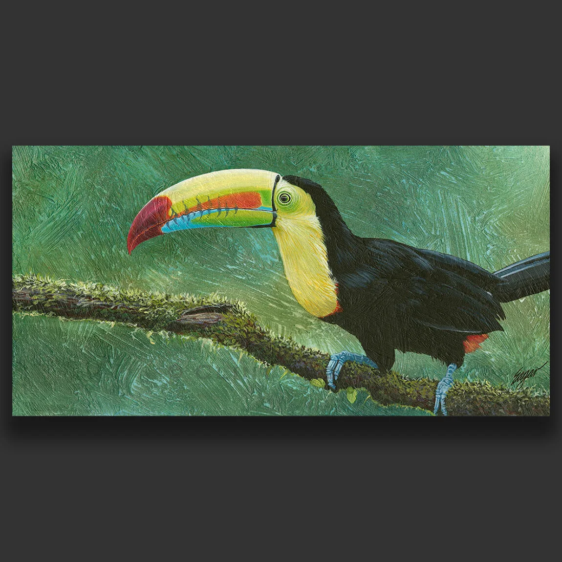 Toucan Painting - Clint Eagar Design.jpg