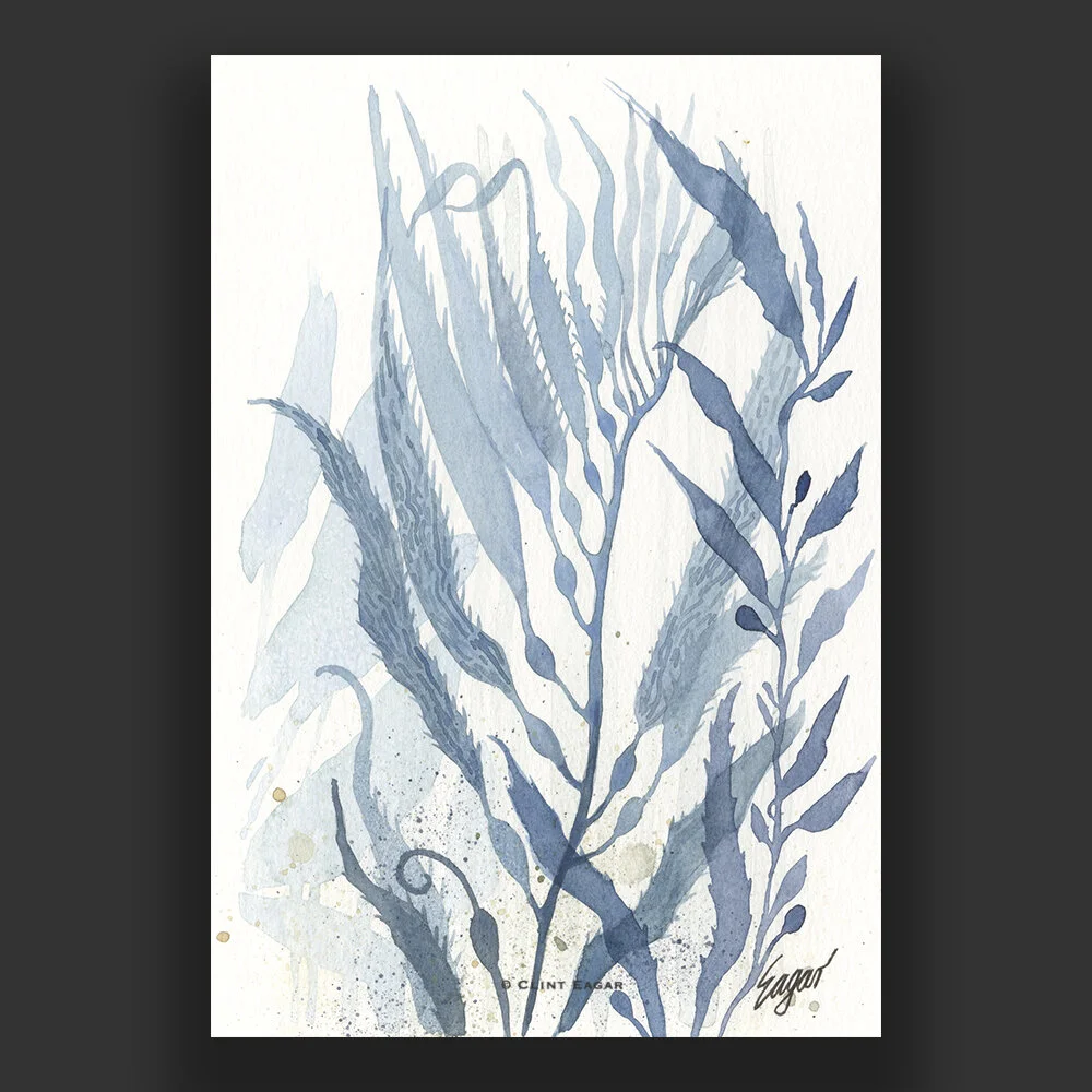 Shop wall art for your house or coastal themed room, visit our gallery in Downtown Franklin, TN or SANTA ROSA BEACH, FL location.