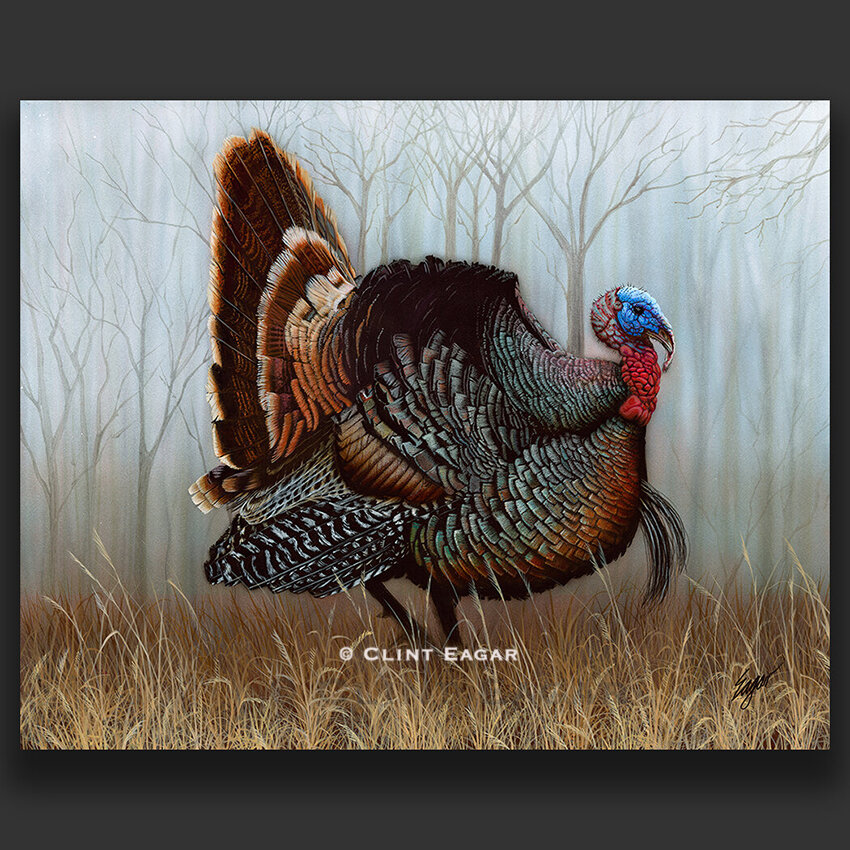Shop the best Turkey Fine art by Clint Eagar, visit our gallery to choose more duck, quail, and birds fine art collections. Custom frames available.